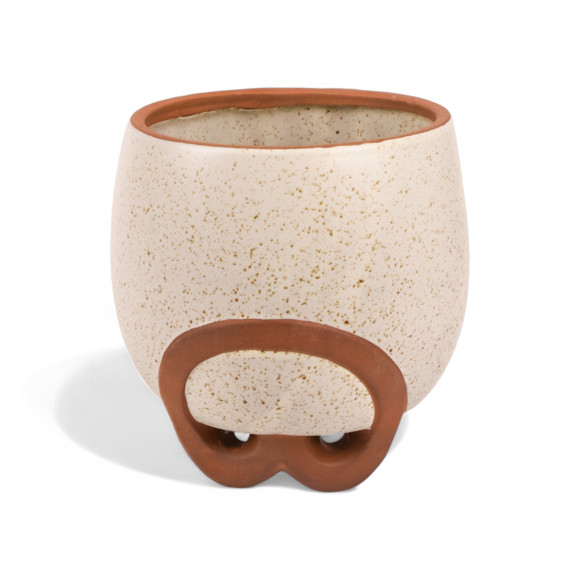 Medium Omni Footed Pot from Green Fresh Florals + Plants