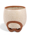 Medium Omni Footed Pot from Green Fresh Florals + Plants
