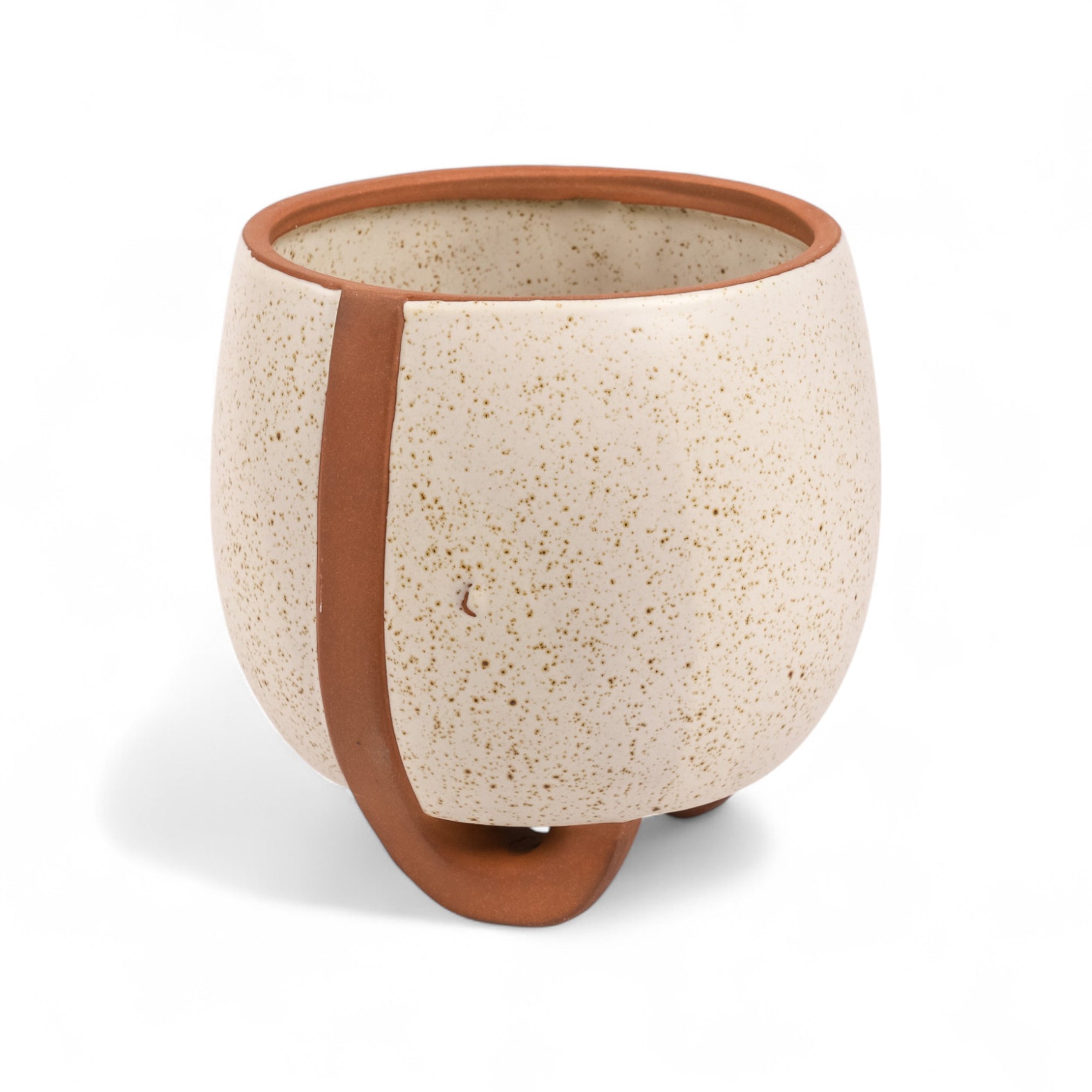Medium Omni Footed Pot from Green Fresh Florals + Plants