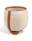 Medium Omni Footed Pot from Green Fresh Florals + Plants