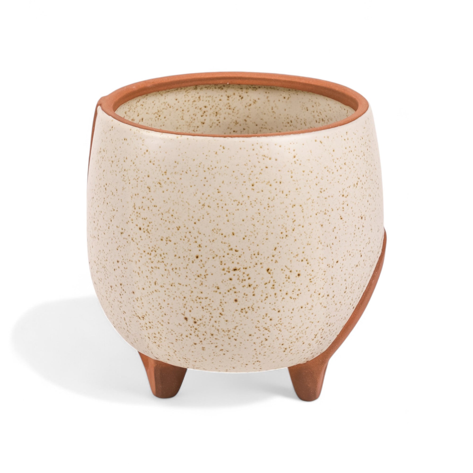 Medium Omni Footed Pot from Green Fresh Florals + Plants