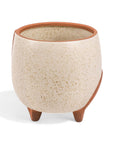 Medium Omni Footed Pot from Green Fresh Florals + Plants