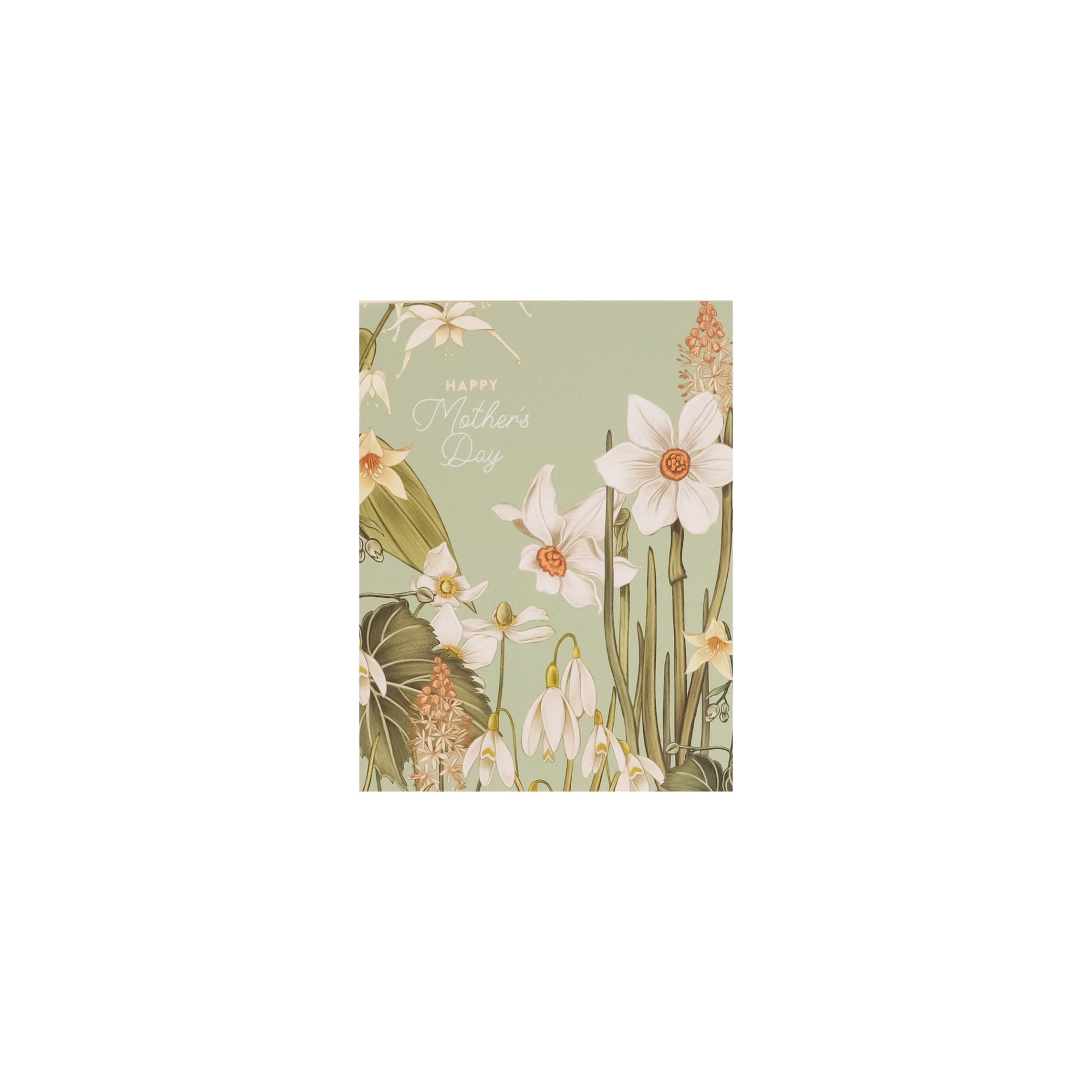 Mother&#39;s Day Paperwhites Card from Green Fresh Florals + Plants