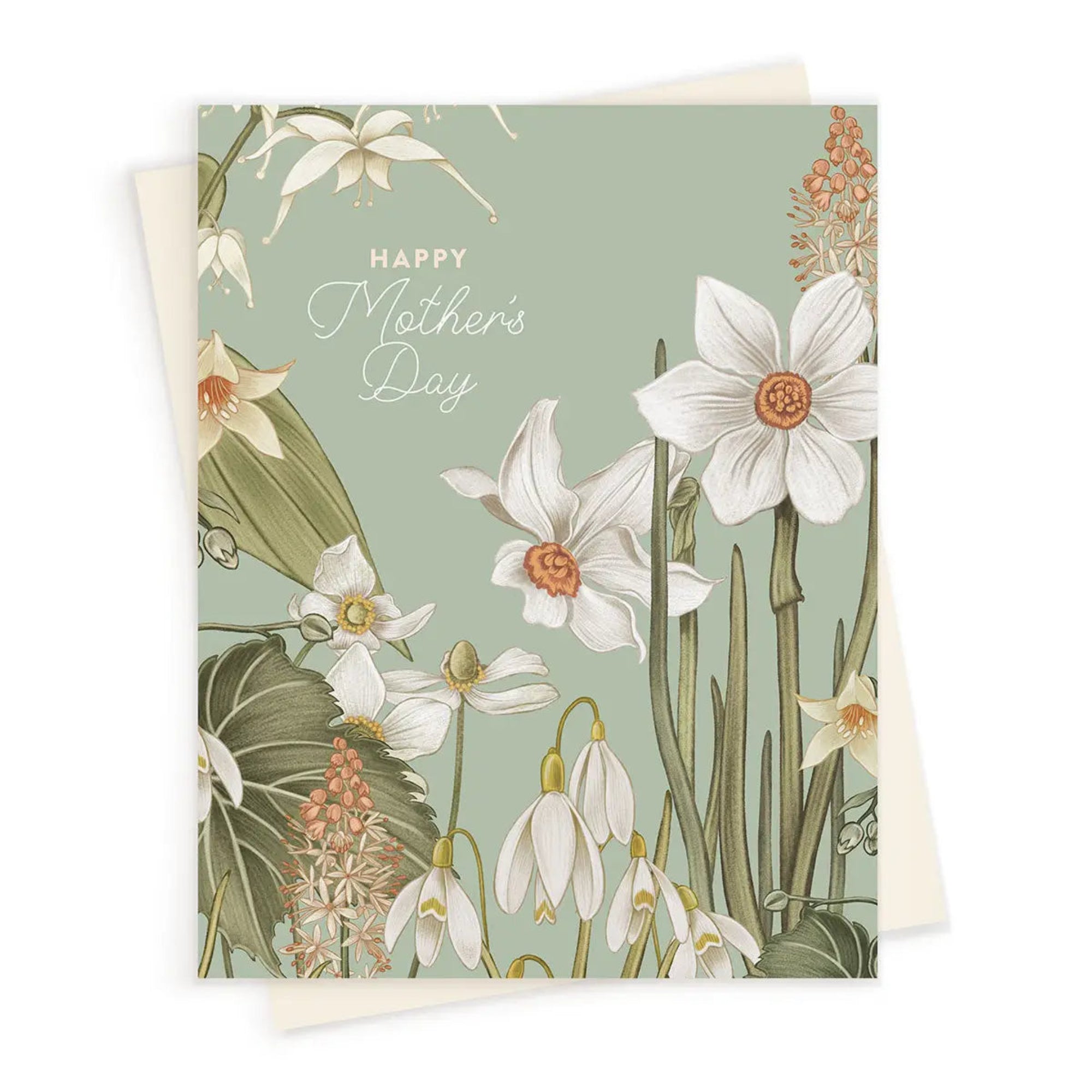 Mother&#39;s Day Paperwhites Card from Green Fresh Florals + Plants