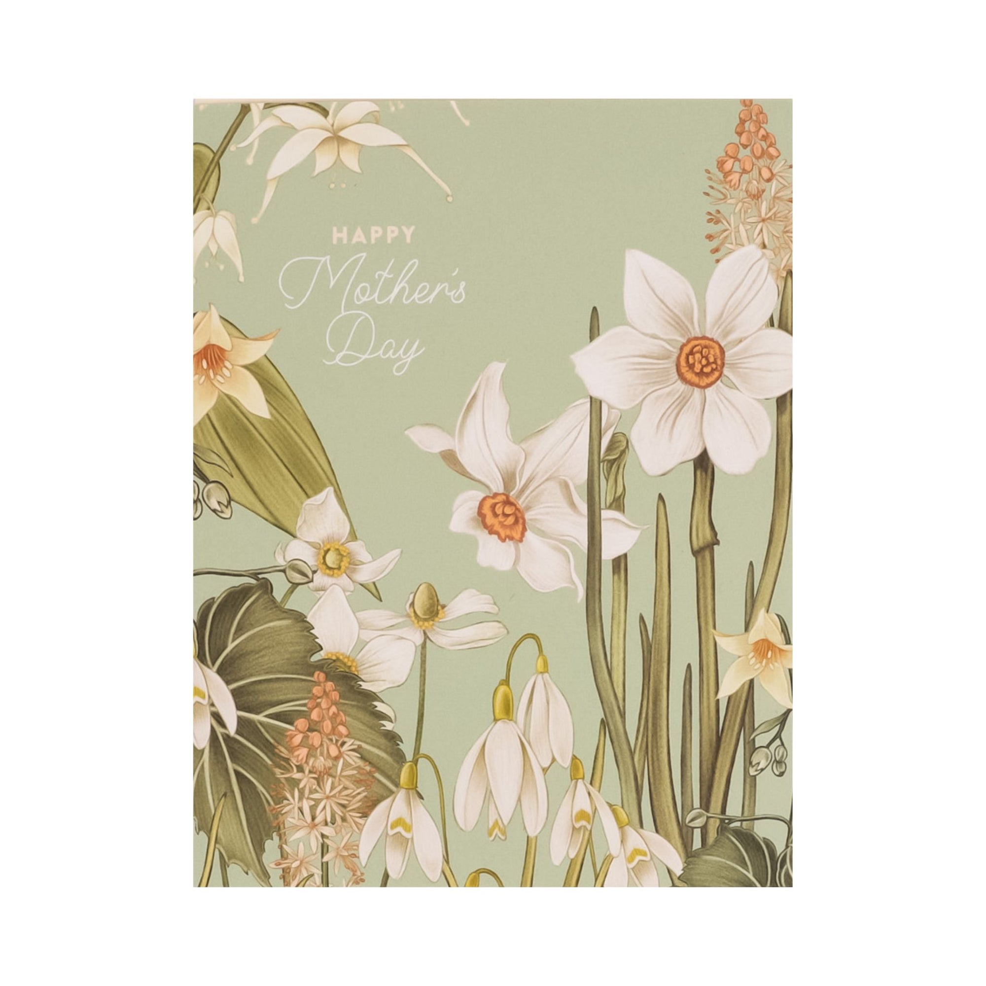 Mother&#39;s Day Paperwhites Card from Green Fresh Florals + Plants