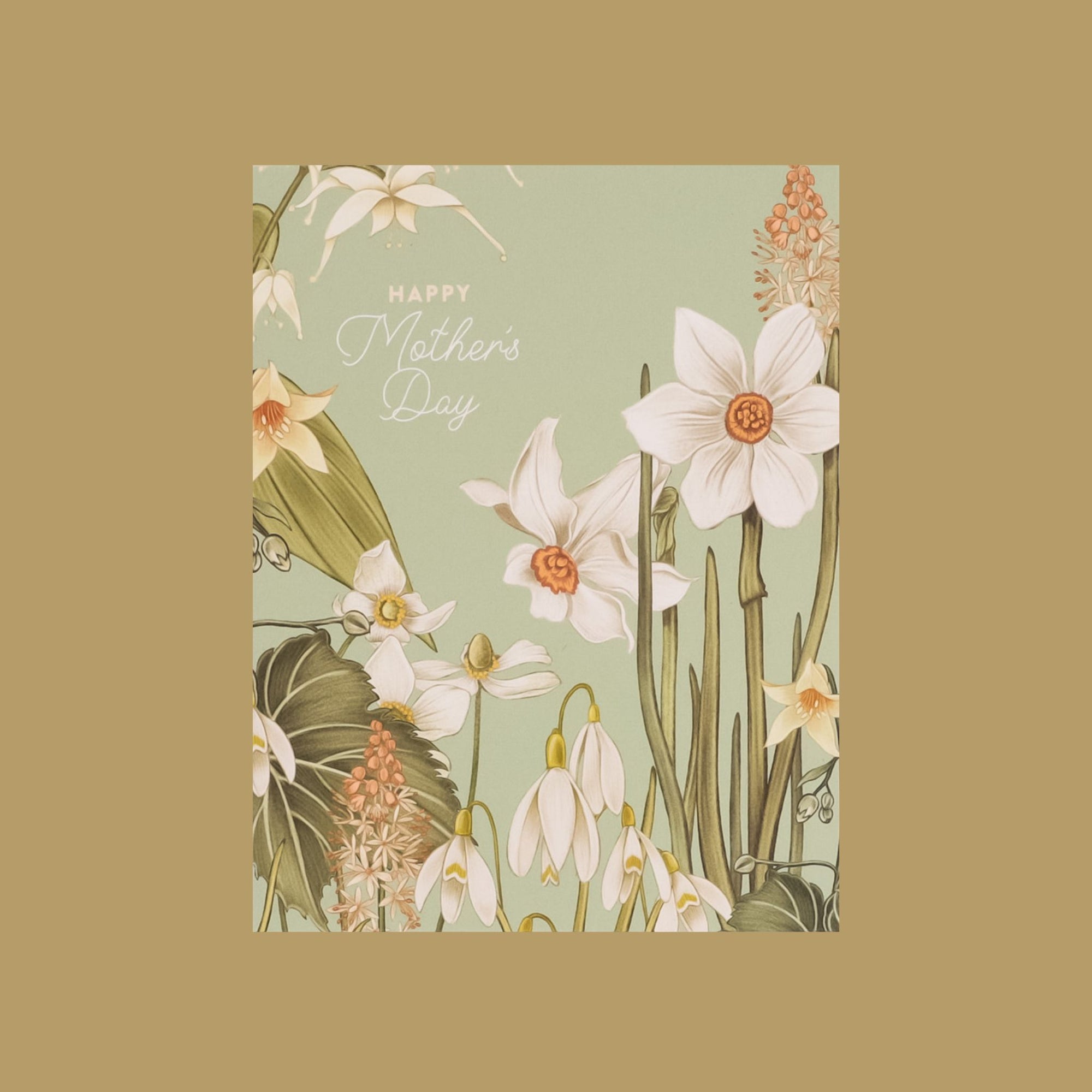 Mother&#39;s Day Paperwhites Card from Green Fresh Florals + Plants