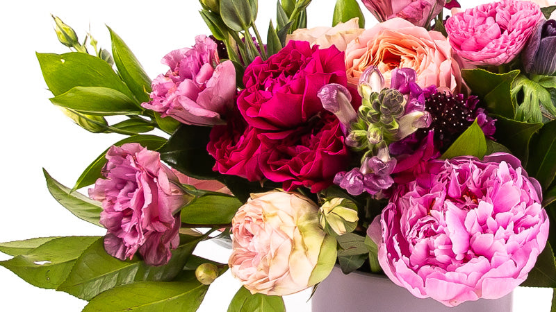 Order Fresh Spring Flowers Online from Green Fresh Florals + Plants