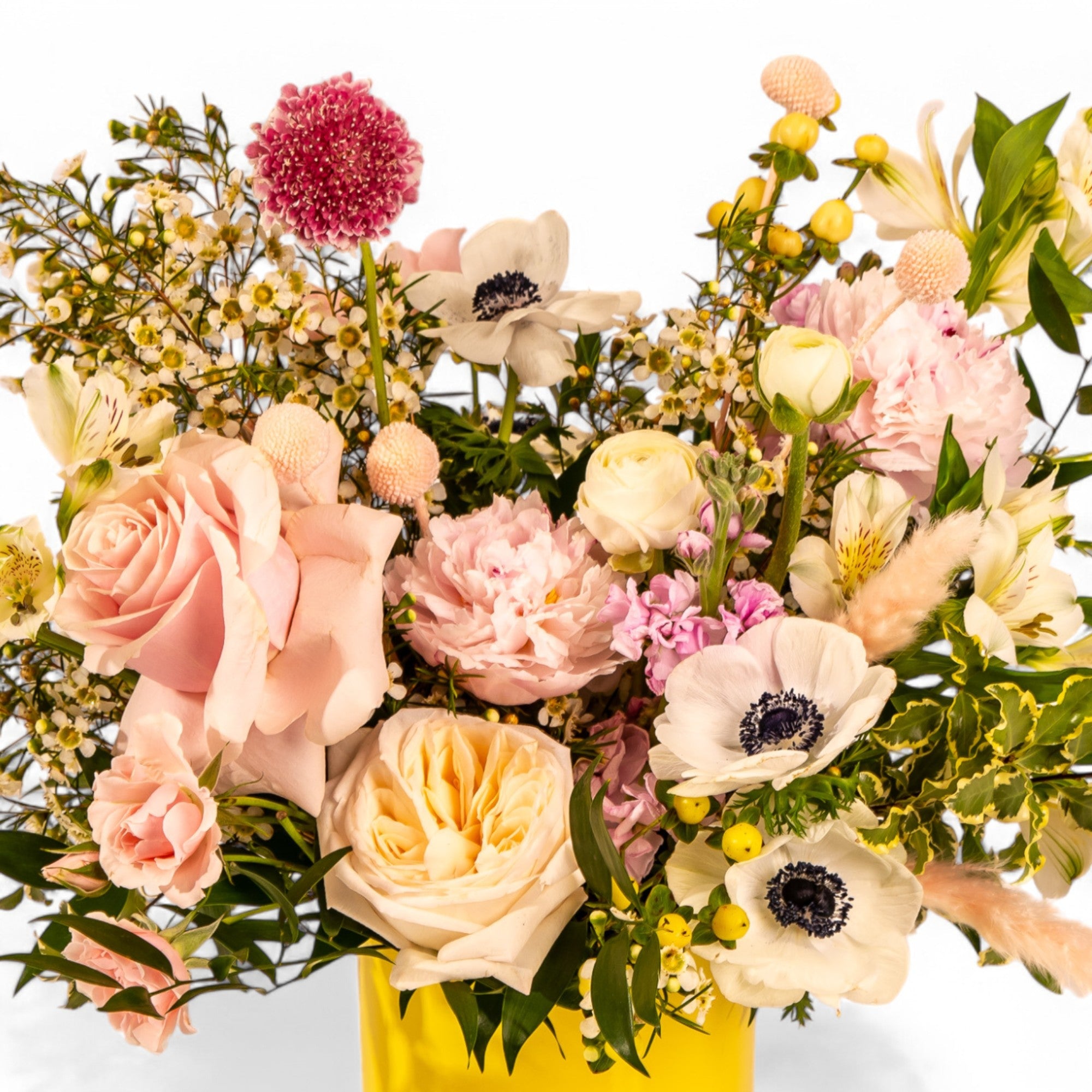 Pink Lemonade Floral from Green Fresh Florals + Plants