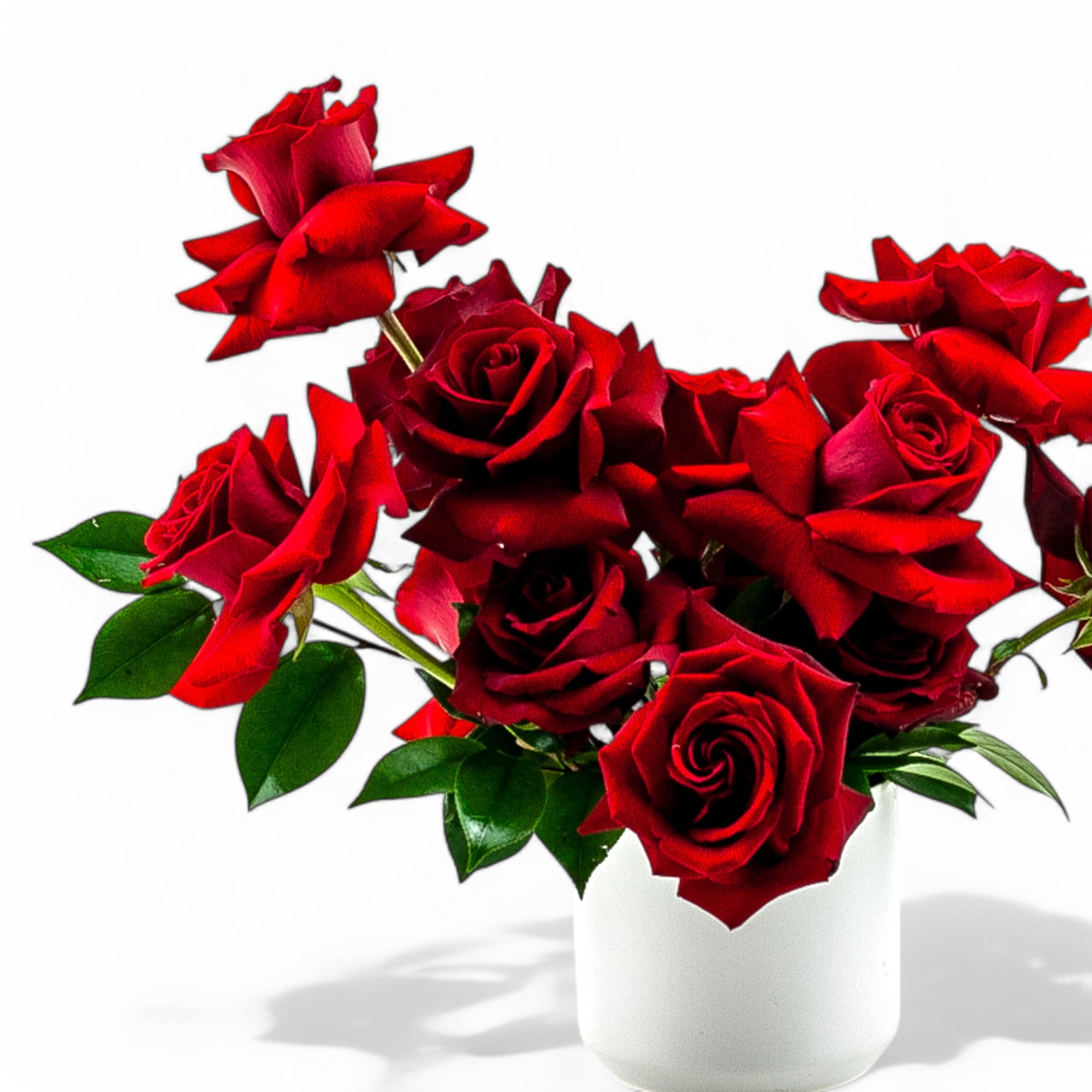 Red Rose Romance Floral from Green Fresh Florals + Plants
