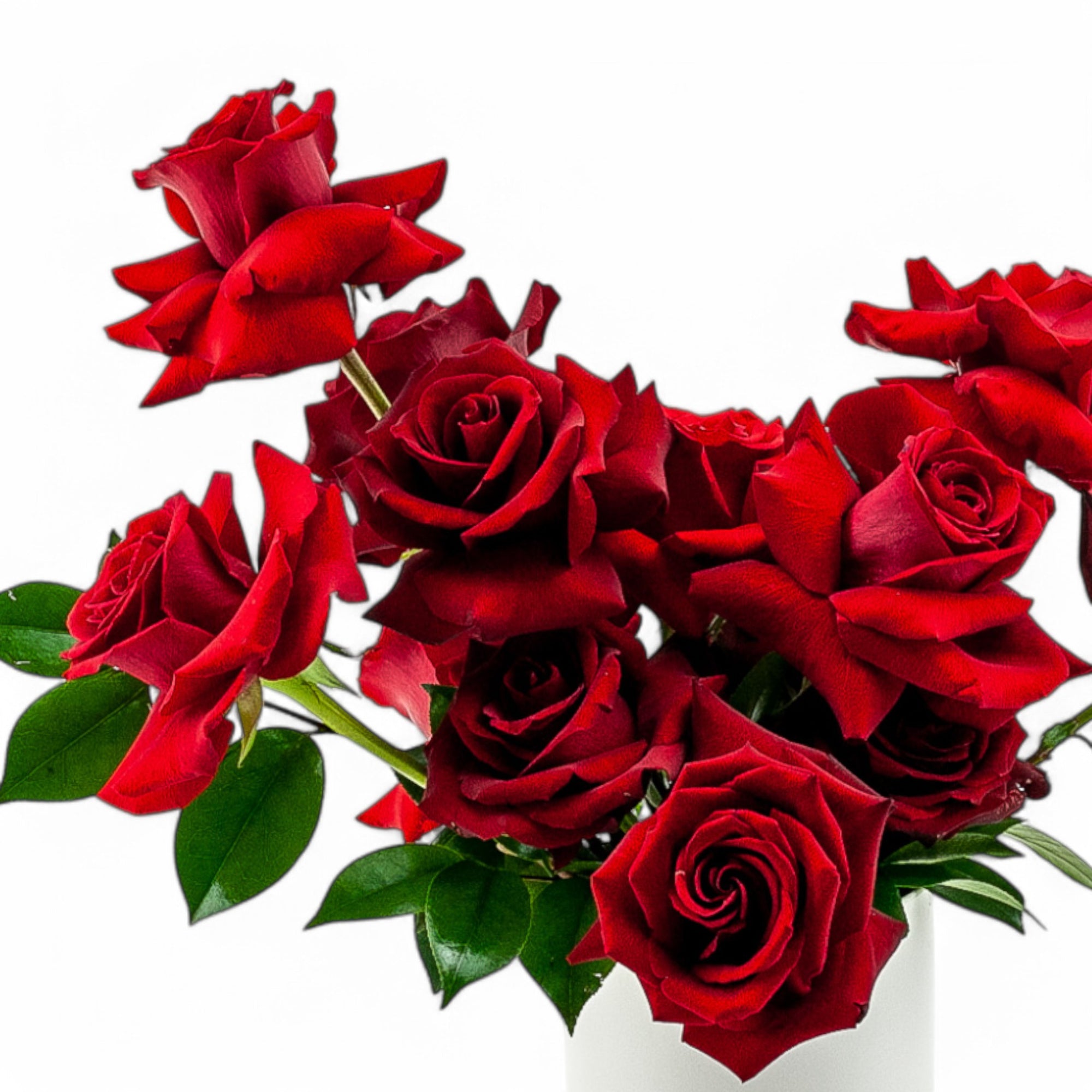 Red Rose Romance Floral from Green Fresh Florals + Plants