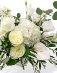 Regular White Whispers Designer Floral from Green Fresh Florals + Plants