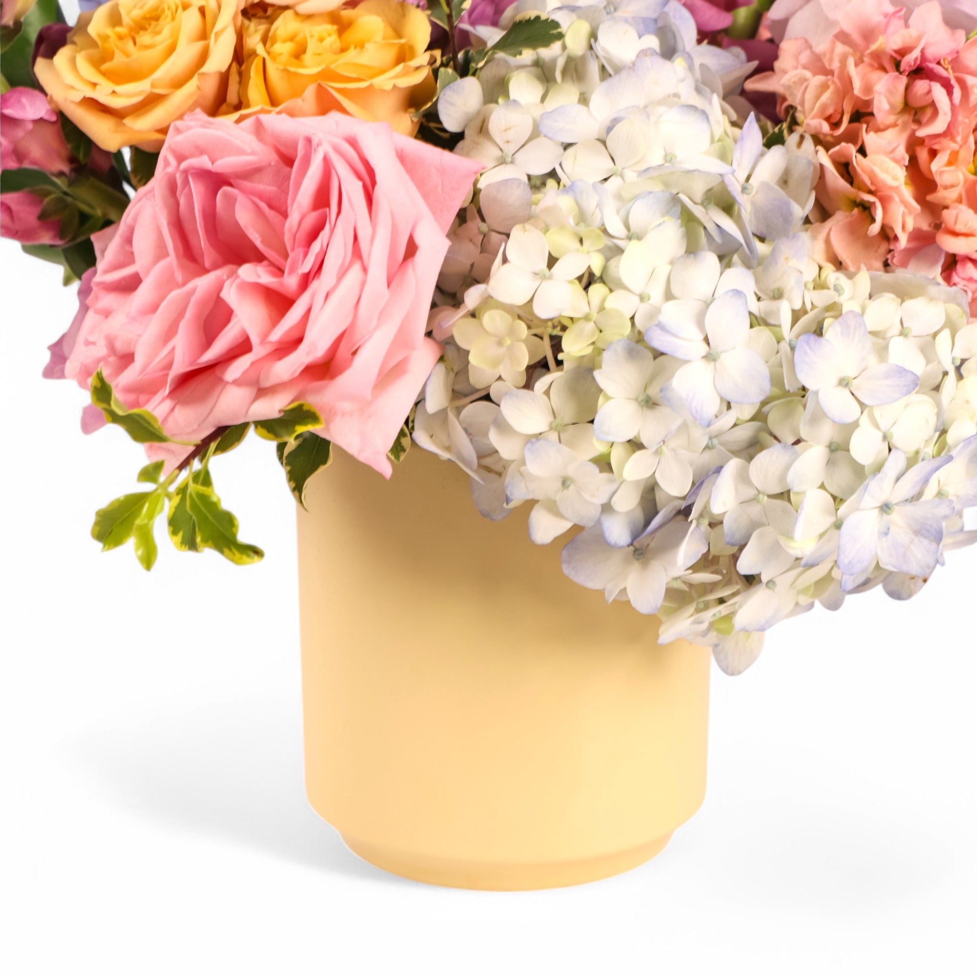 Regular Spring Forward Floral from Green Fresh Florals + Plants