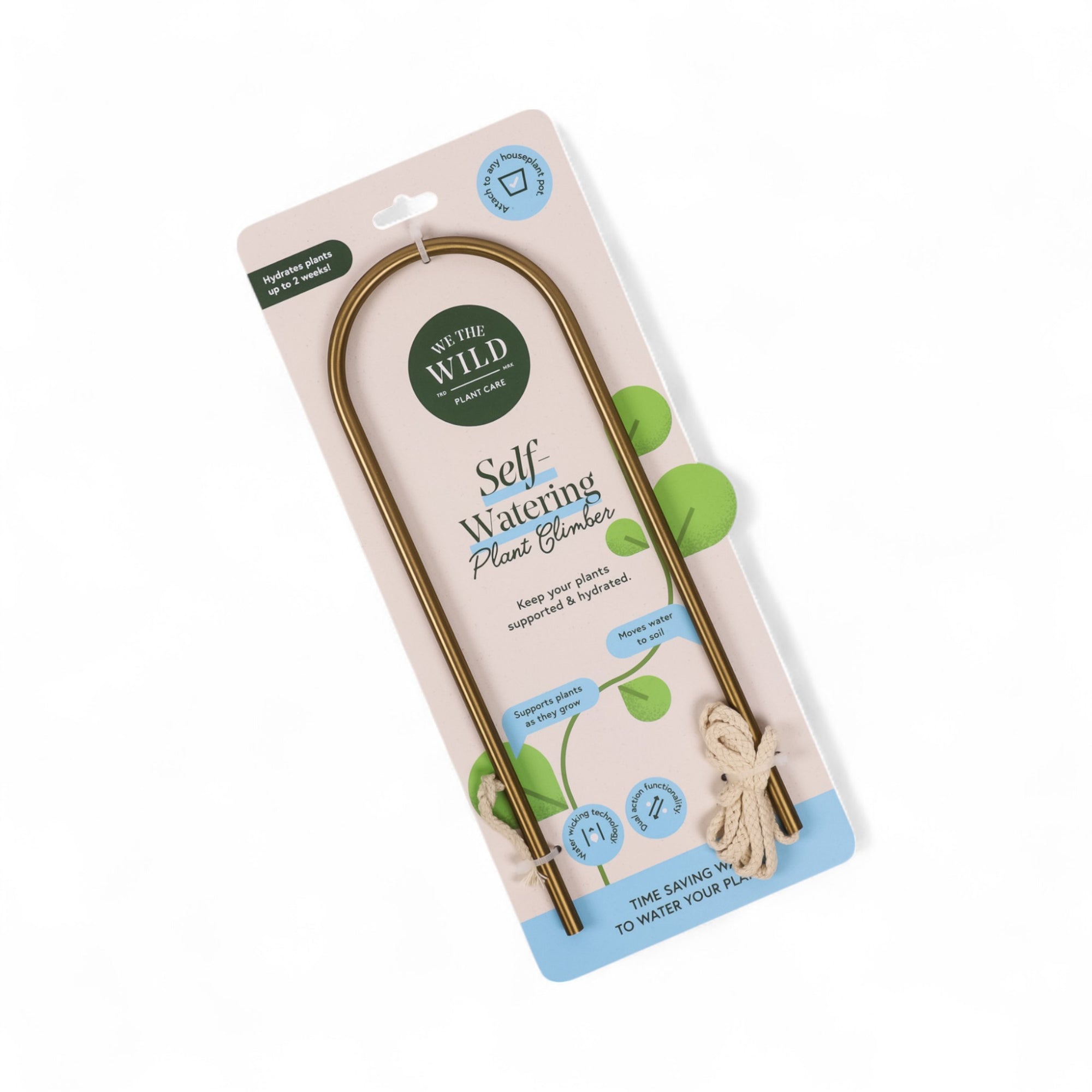 Self-Watering Plant Climber from Green Fresh Florals + Plants