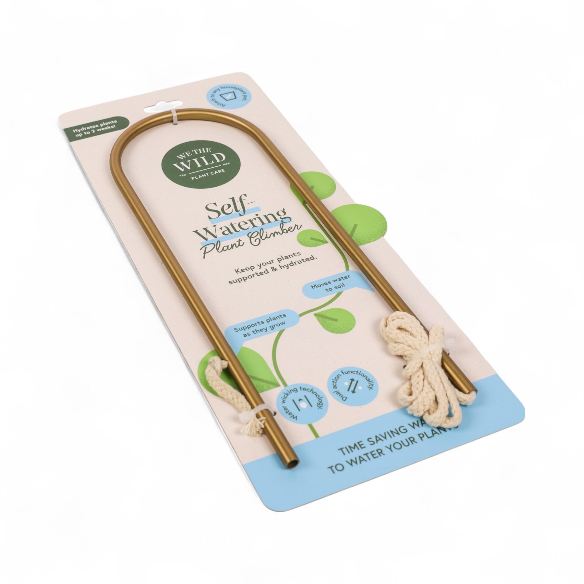 Self-Watering Plant Climber from Green Fresh Florals + Plants