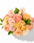 Sherbert Surprise Floral from Green Fresh Florals + Plants