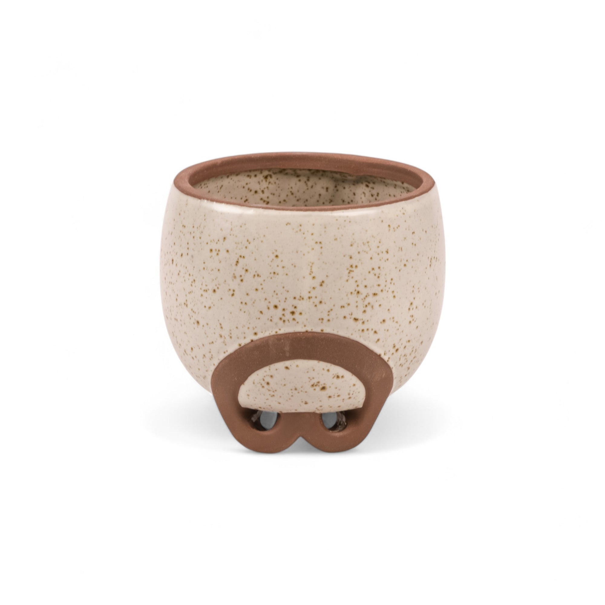 Small Omni Footed Pot from Green Fresh Florals + Plants