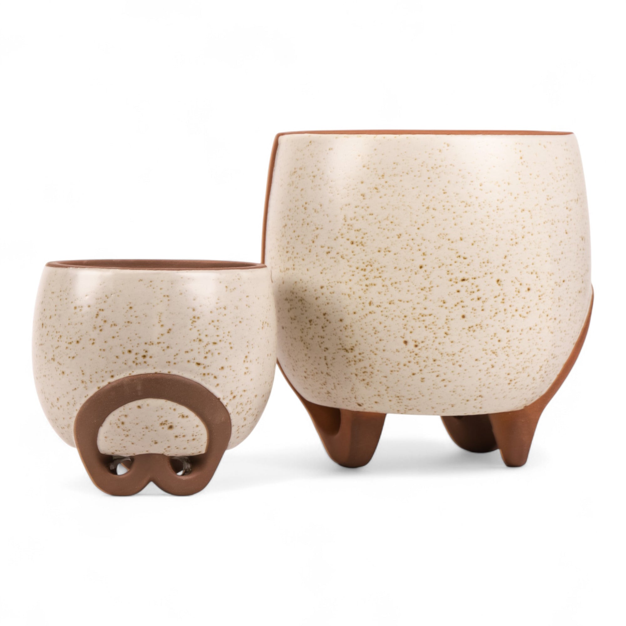 Medium and Small Omni Footed Pot from Green Fresh Florals + Plants