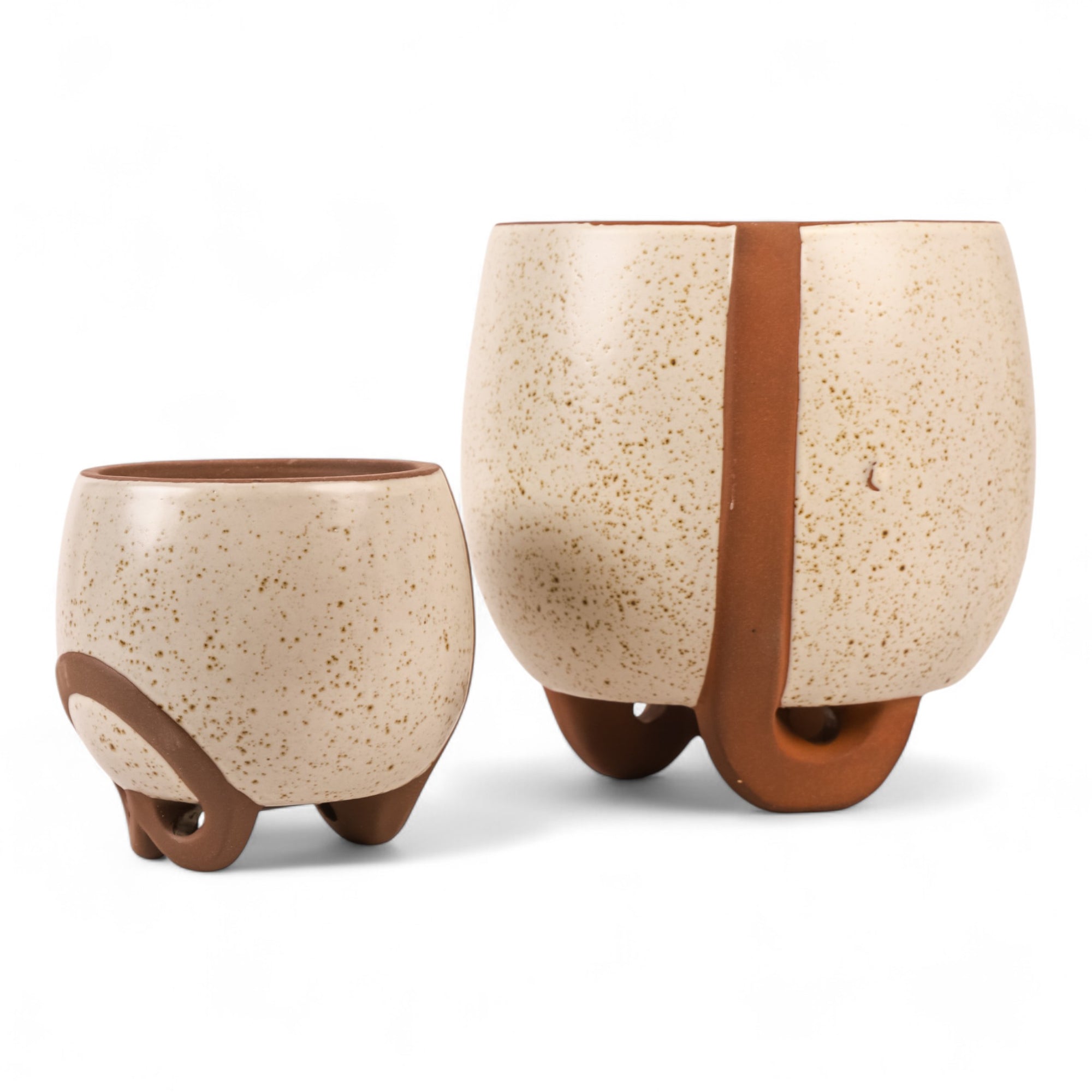 Medium  and Small Omni Footed Pot from Green Fresh Florals + Plants