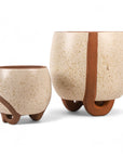 Medium  and Small Omni Footed Pot from Green Fresh Florals + Plants
