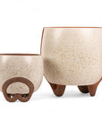 Medium and Small Omni Footed Pot from Green Fresh Florals + Plants