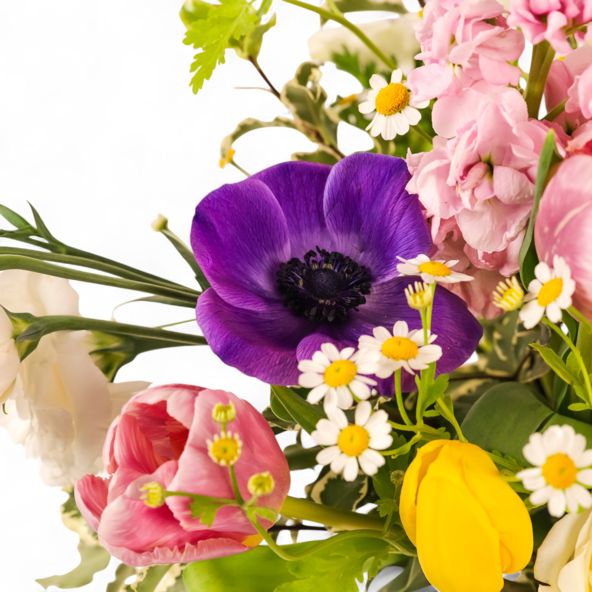 Suddenly Spring Floral from Green Fresh Florals + Plants