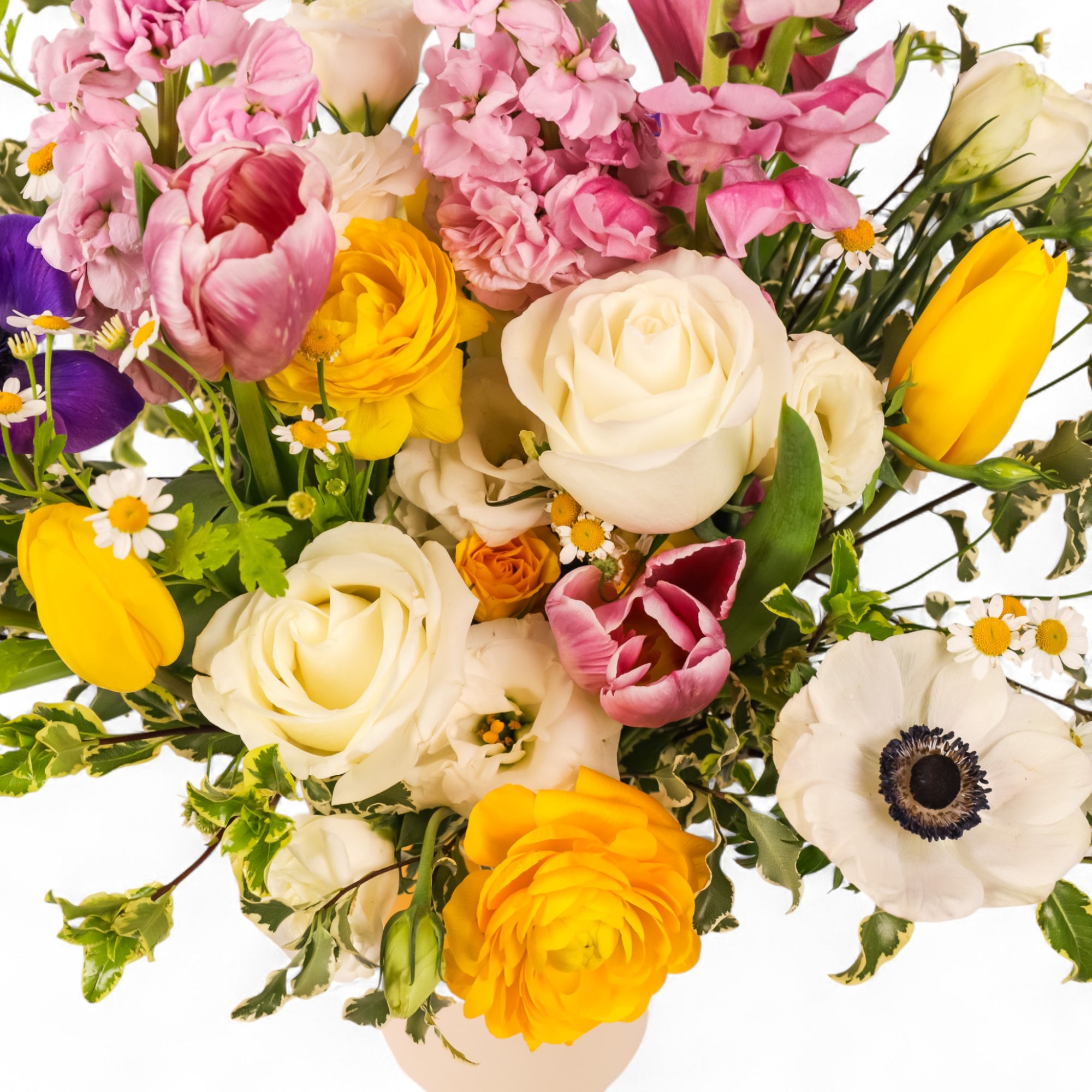 Suddenly Spring Floral from Green Fresh Florals + Plants