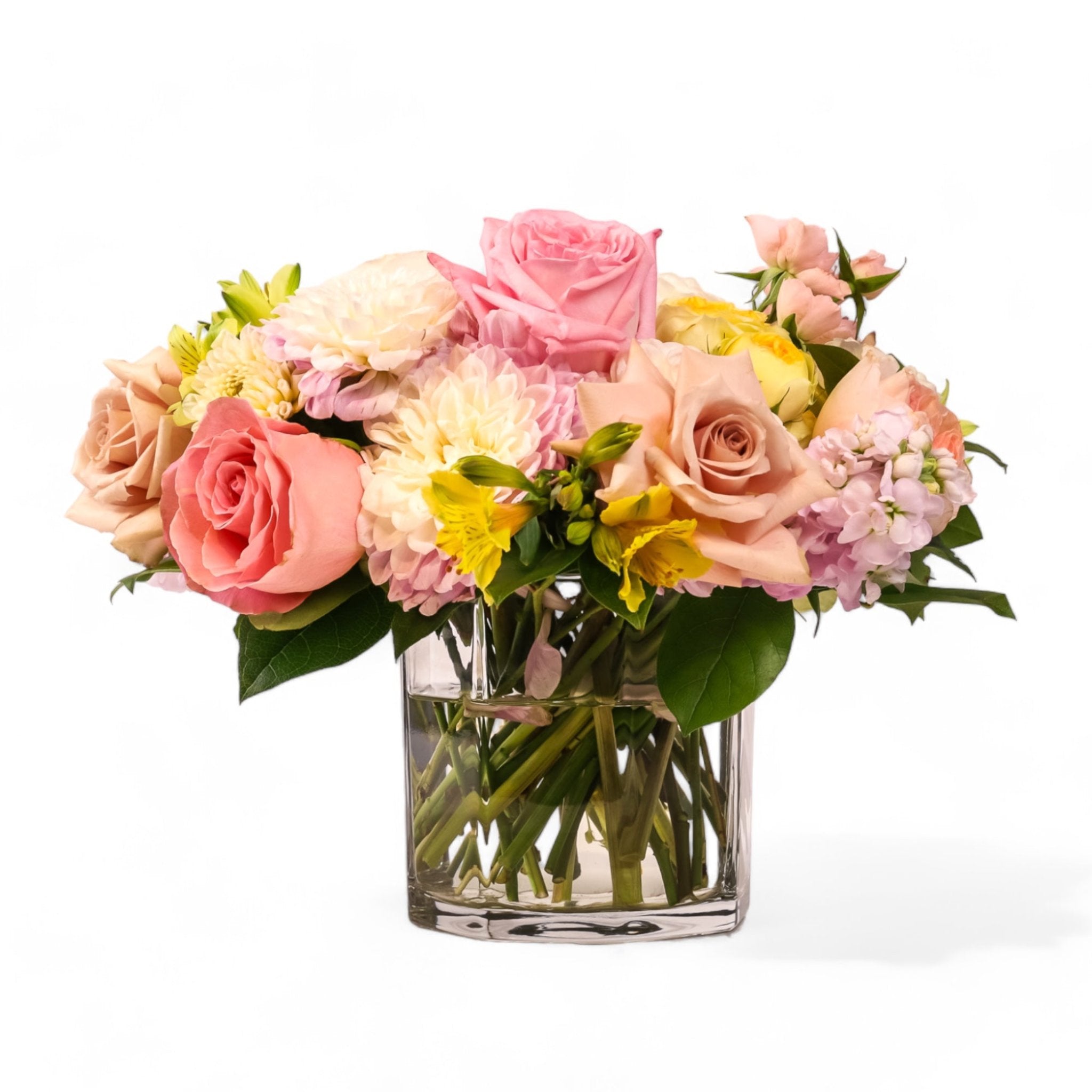 Supreme La Crema Floral from Green Fresh Florals + Plants