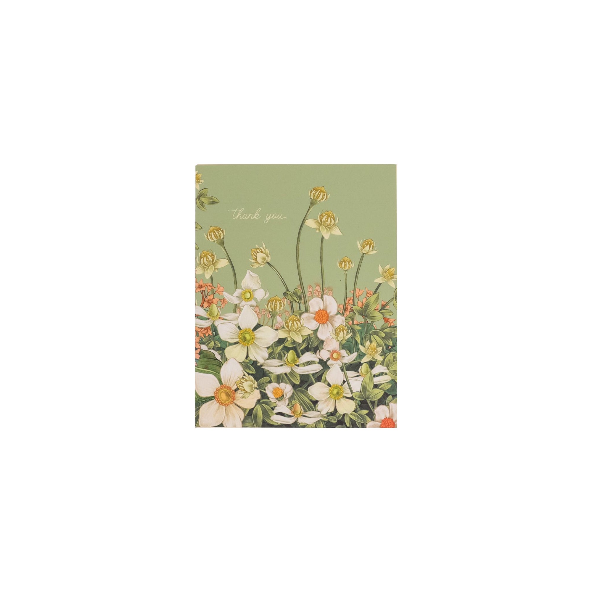 Thank You Anemone Card from Green Fresh Florals + Plants