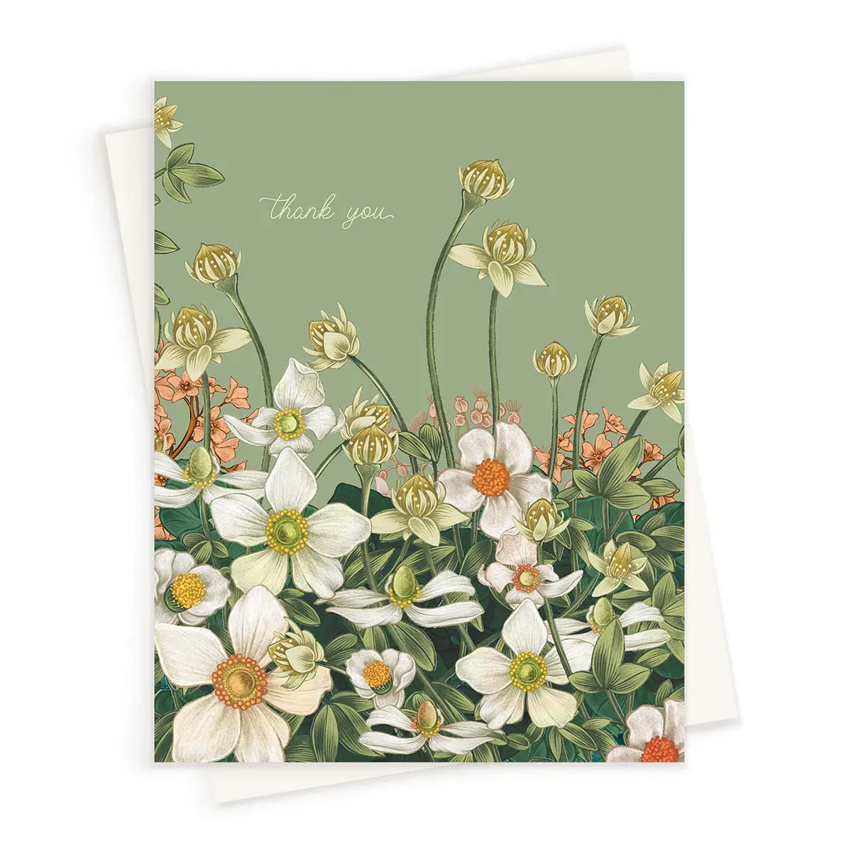 Thank You Anemone Card from Green Fresh Florals + Plants