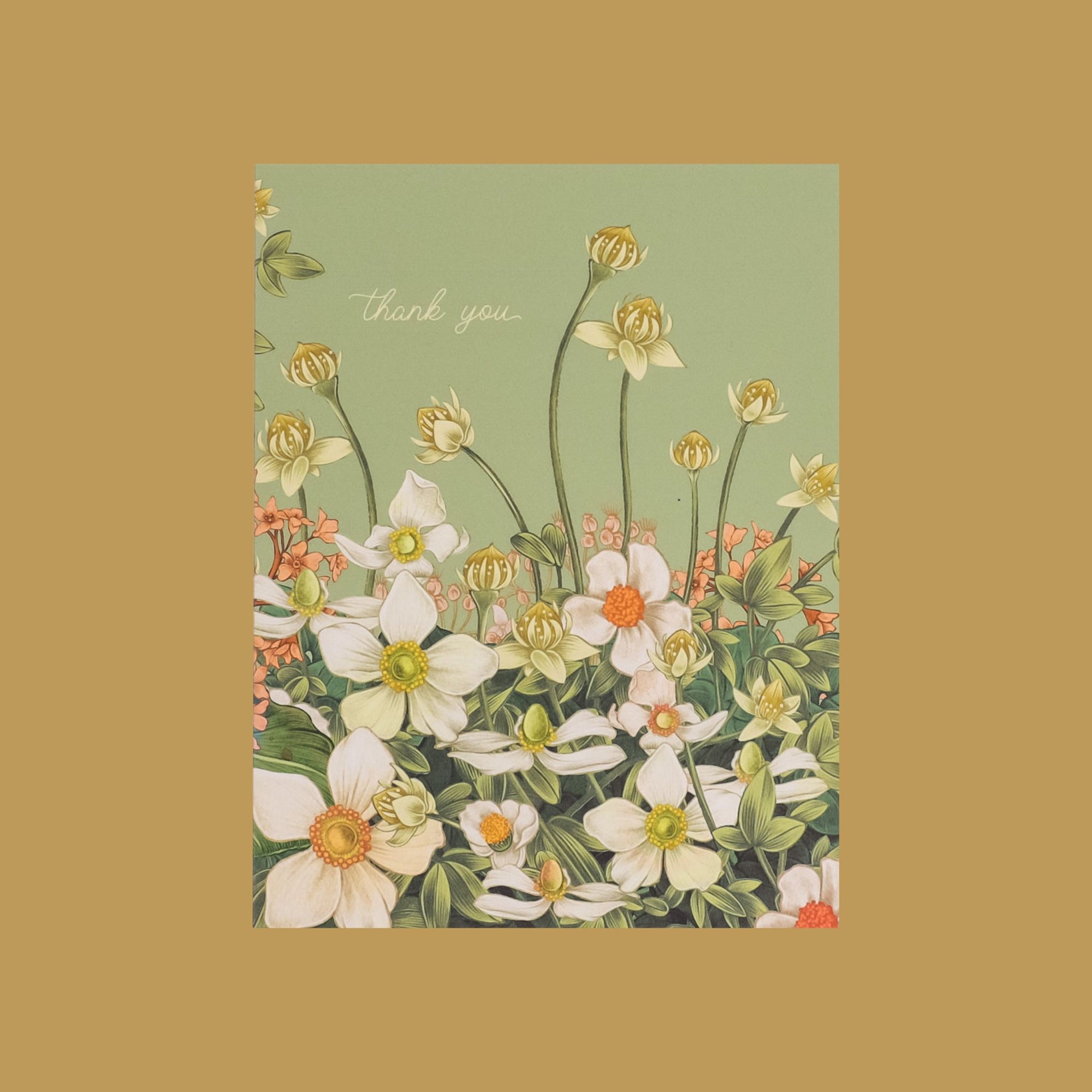 Thank You Anemone Card from Green Fresh Florals + Plants