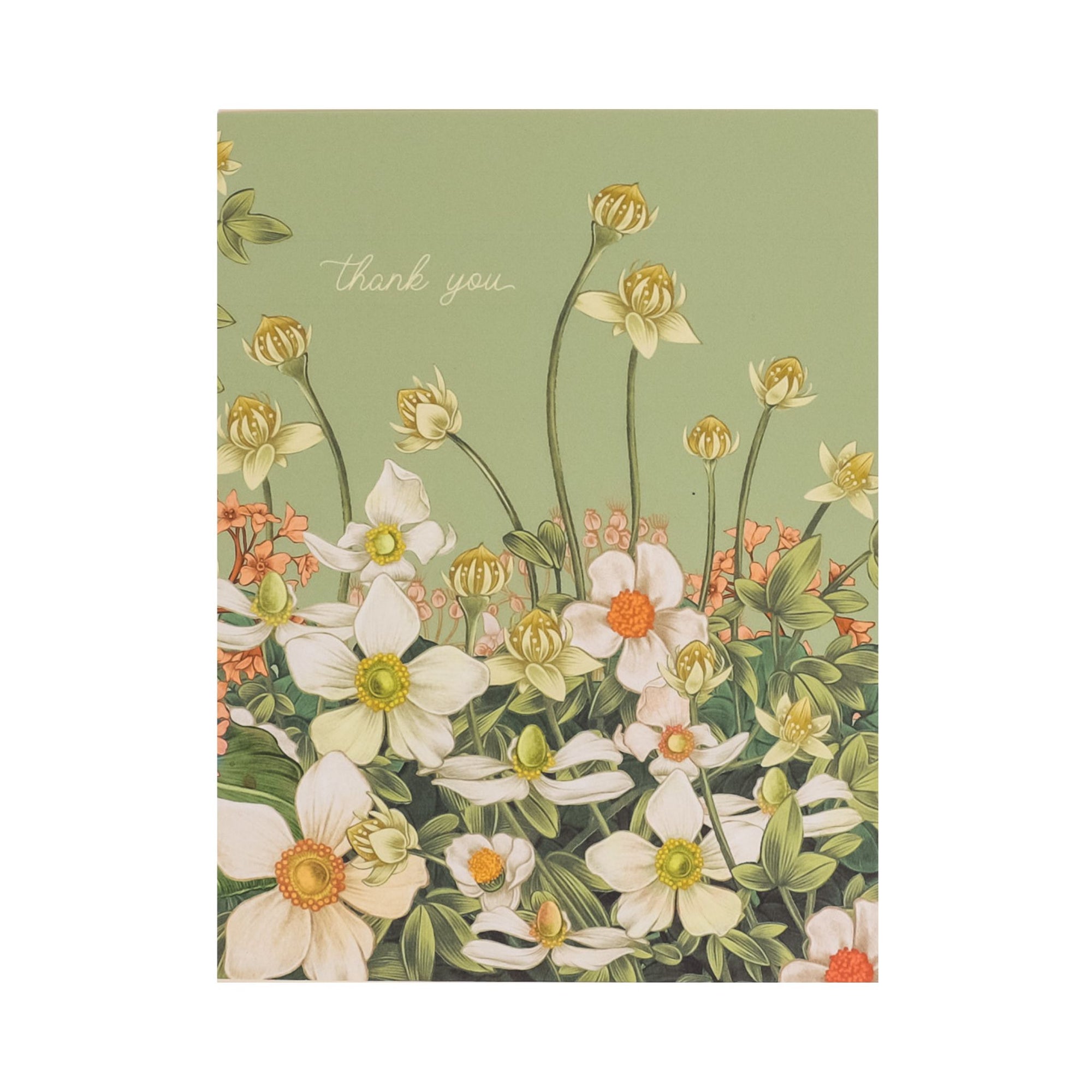 Thank You Anemone Card from Green Fresh Florals + Plants
