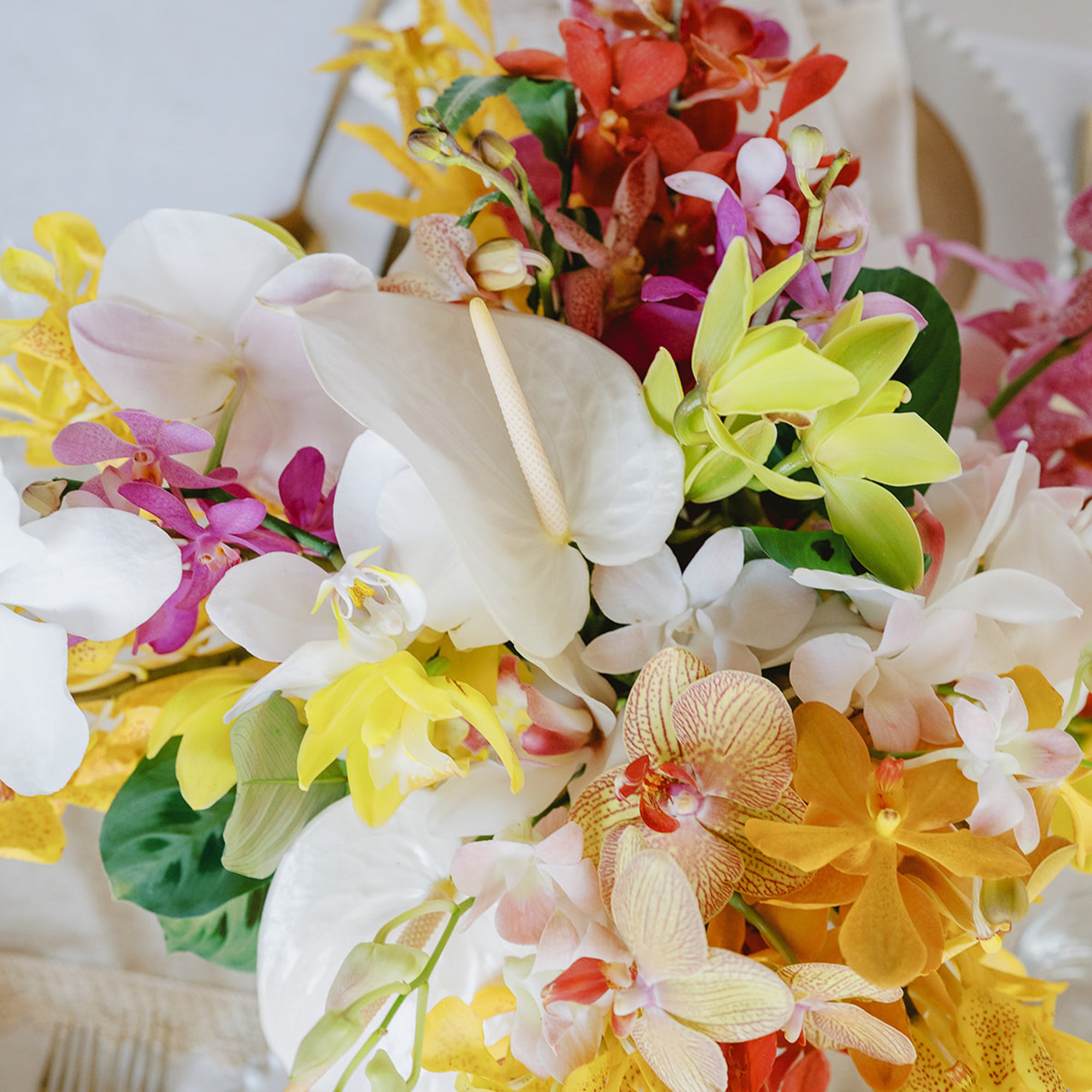 Tropical Orchids A la Carte Wedding Centerpiece from Green Fresh Florals + Plants