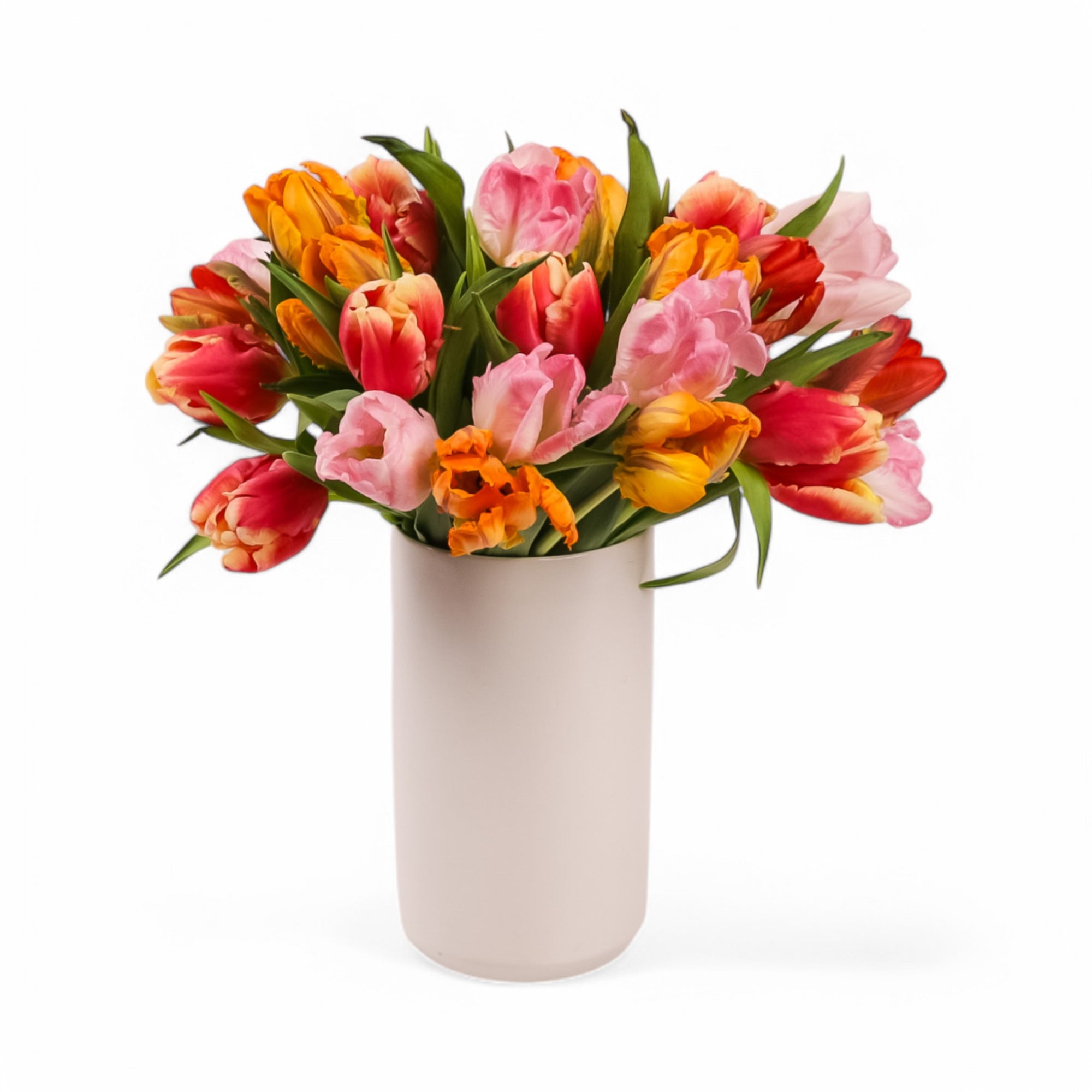 Tulip Celebration Floral from Green Fresh Florals + Plants