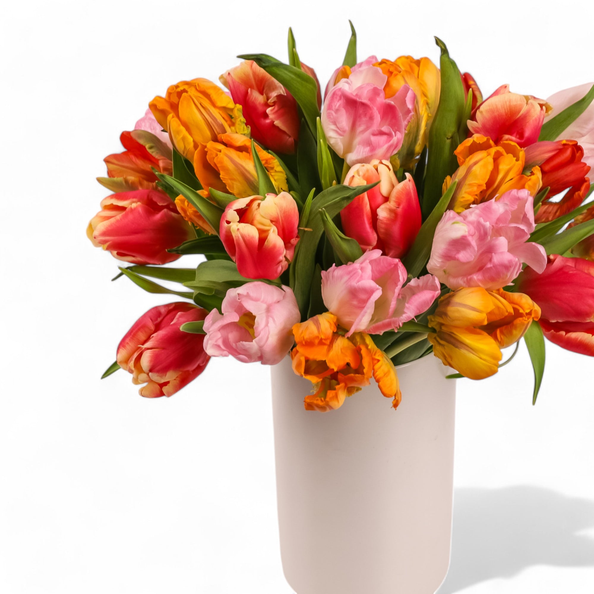 Tulip Celebration Floral from Green Fresh Florals + Plants