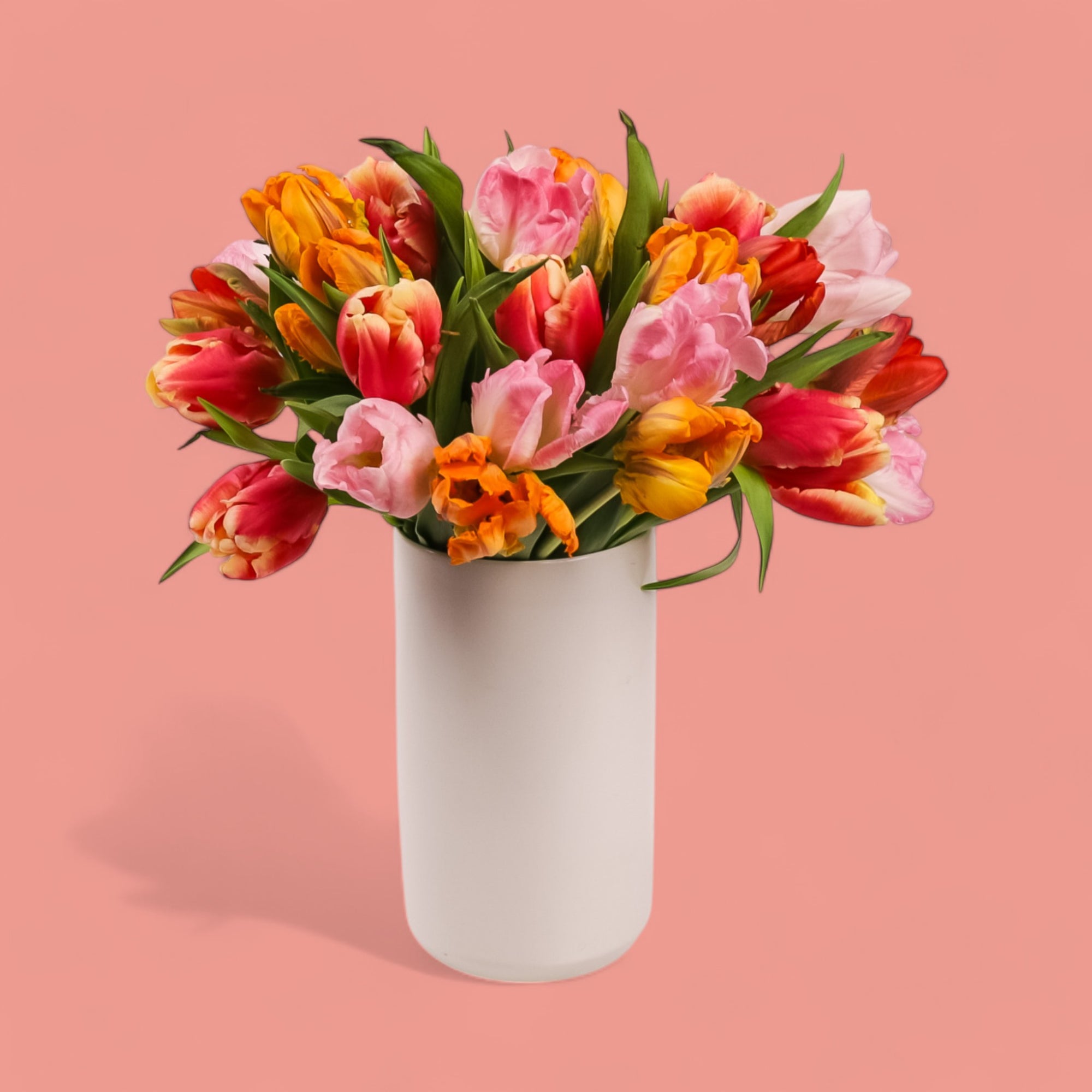 Tulip Celebration Floral from Green Fresh Florals + Plants