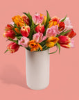 Tulip Celebration Floral from Green Fresh Florals + Plants