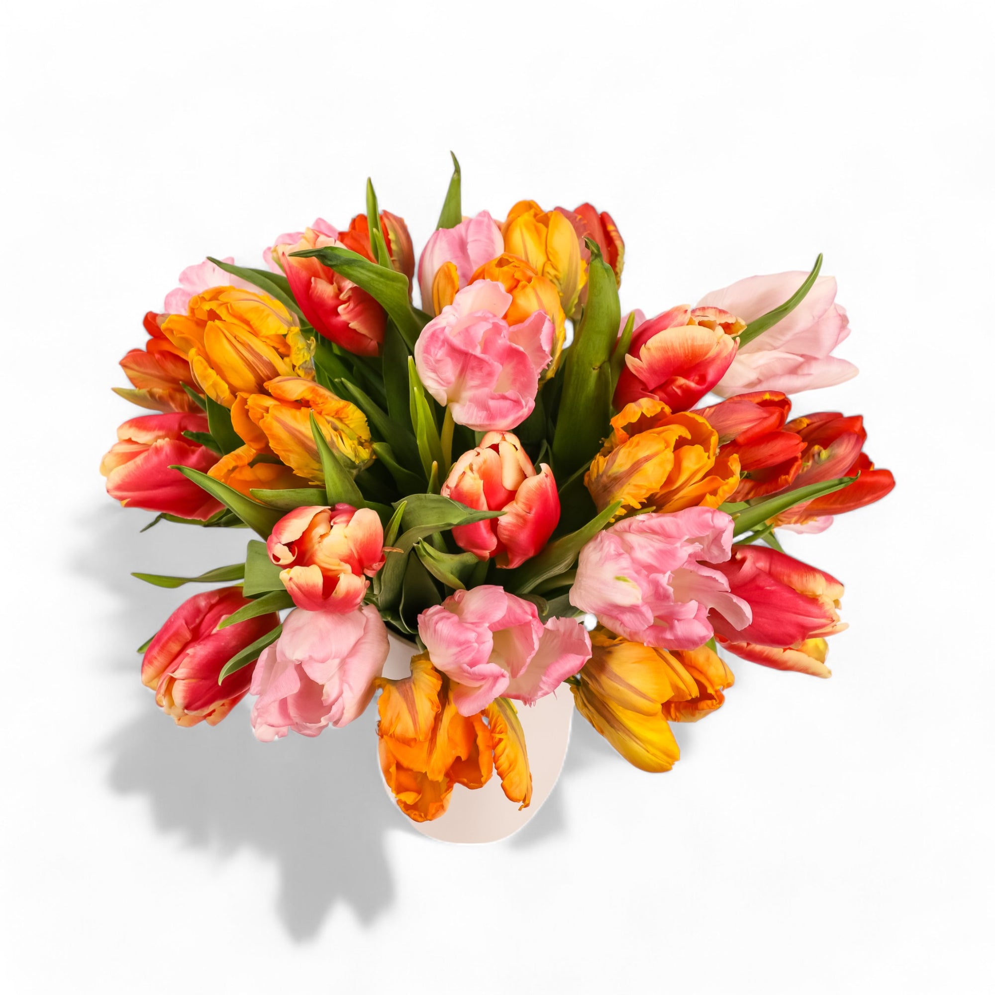 Tulip Celebration Floral from Green Fresh Florals + Plants