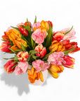 Tulip Celebration Floral from Green Fresh Florals + Plants