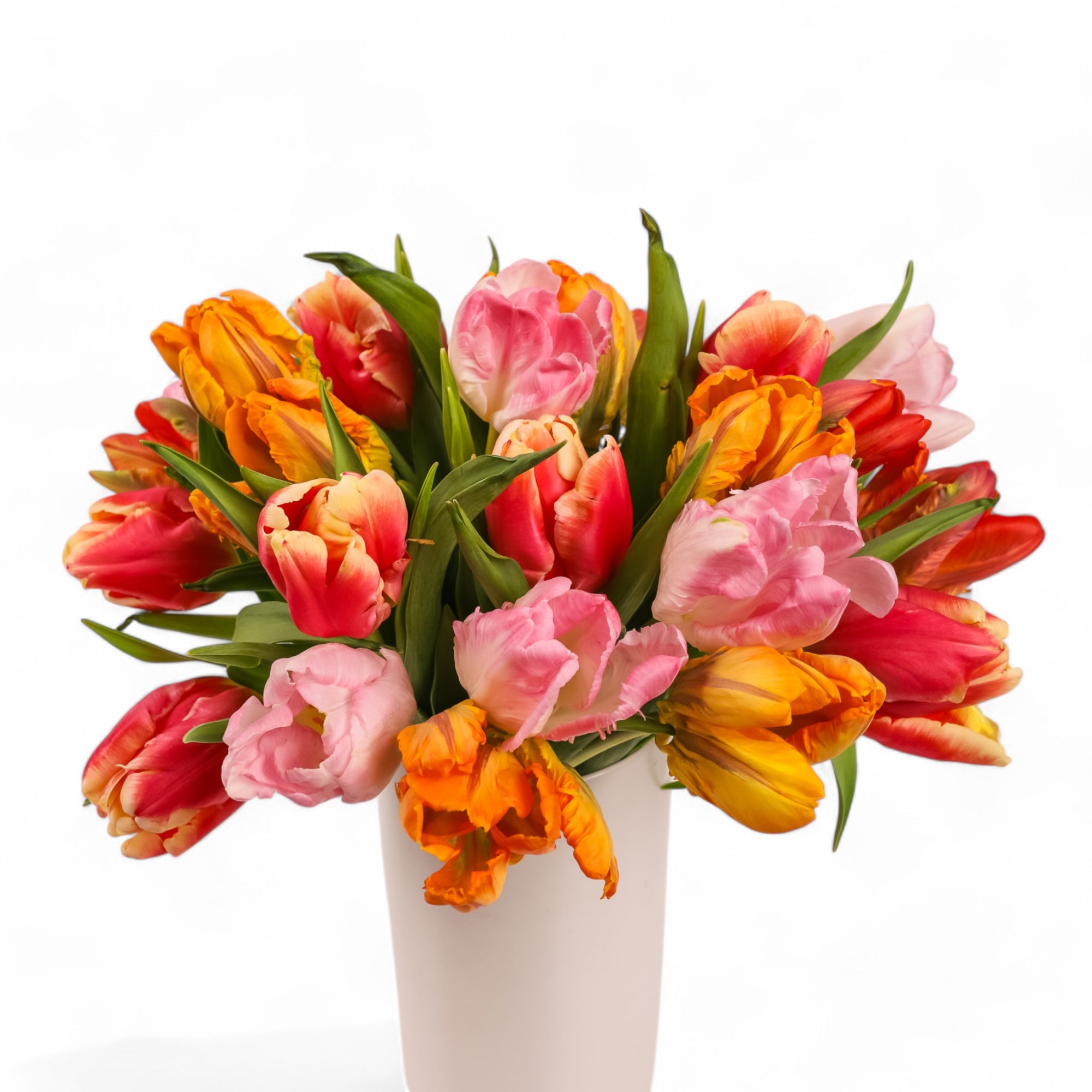 Tulip Celebration Floral from Green Fresh Florals + Plants