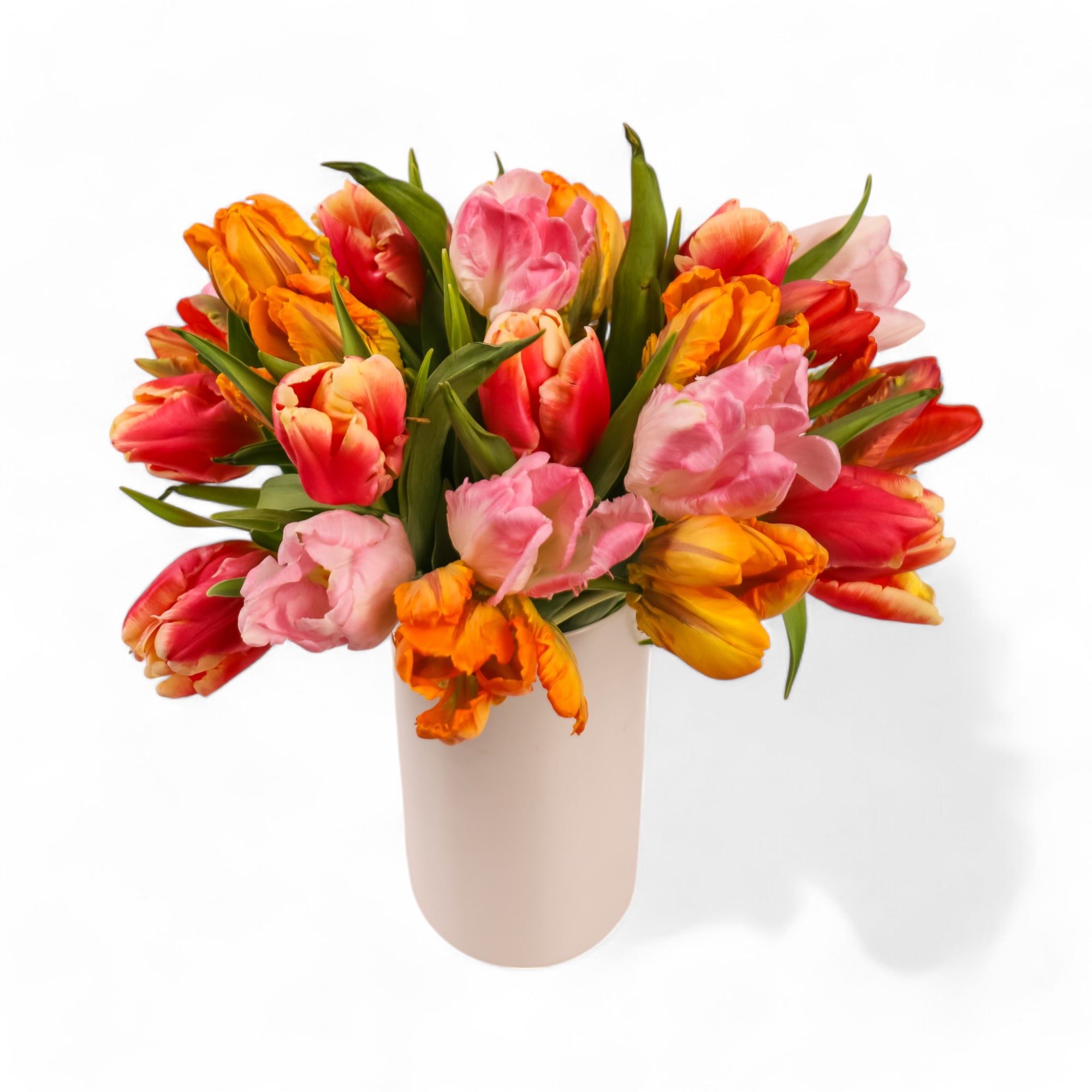 Tulip Celebration Floral from Green Fresh Florals + Plants