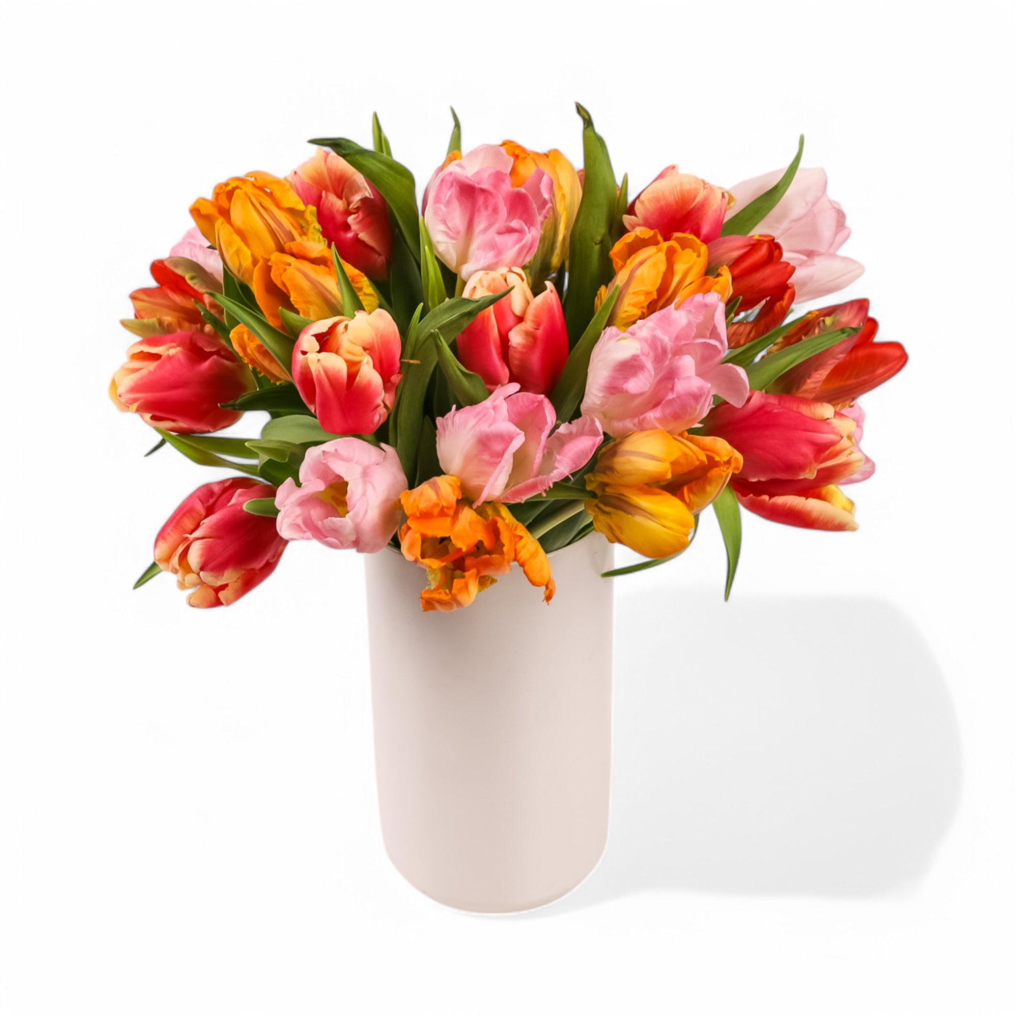 Tulip Celebration Floral from Green Fresh Florals + Plants