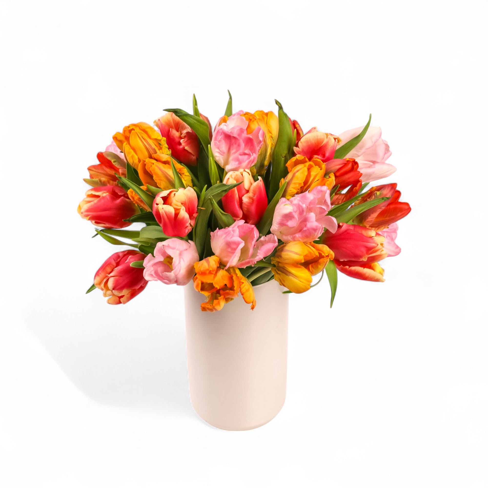 Tulip Celebration Floral from Green Fresh Florals + Plants