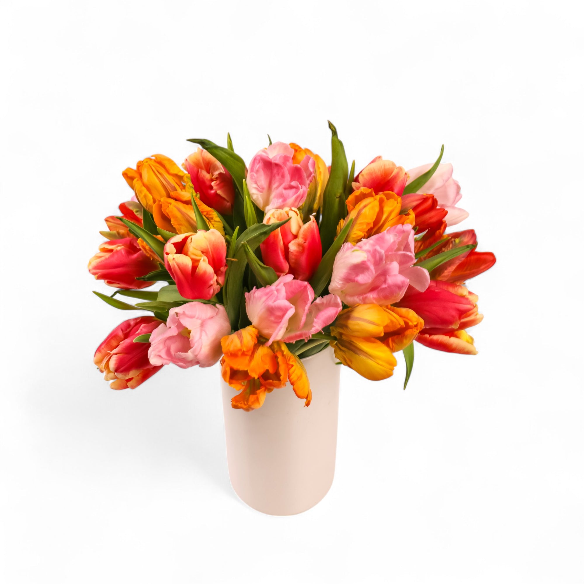 Tulip Celebration Floral from Green Fresh Florals + Plants