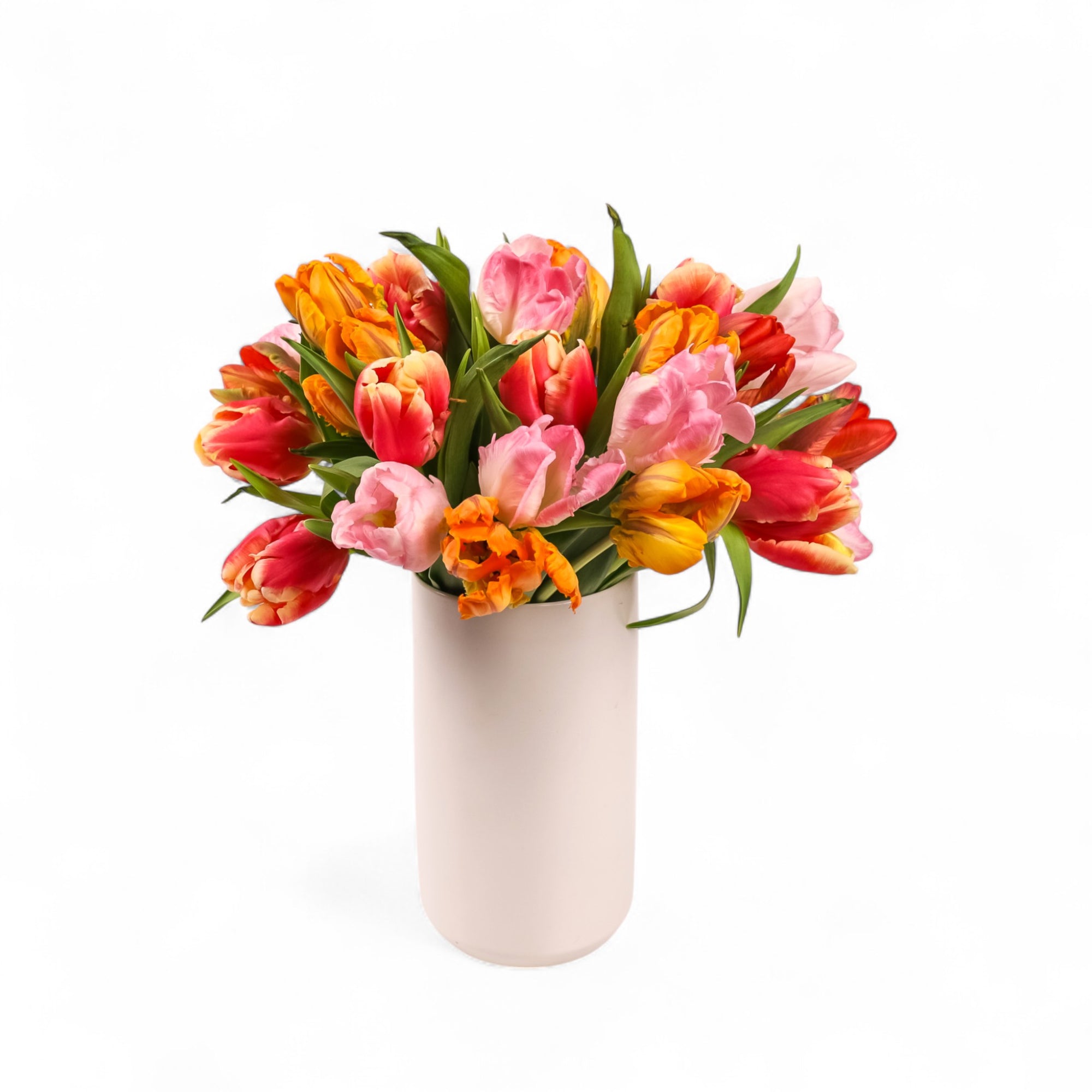 Tulip Celebration Floral from Green Fresh Florals + Plants