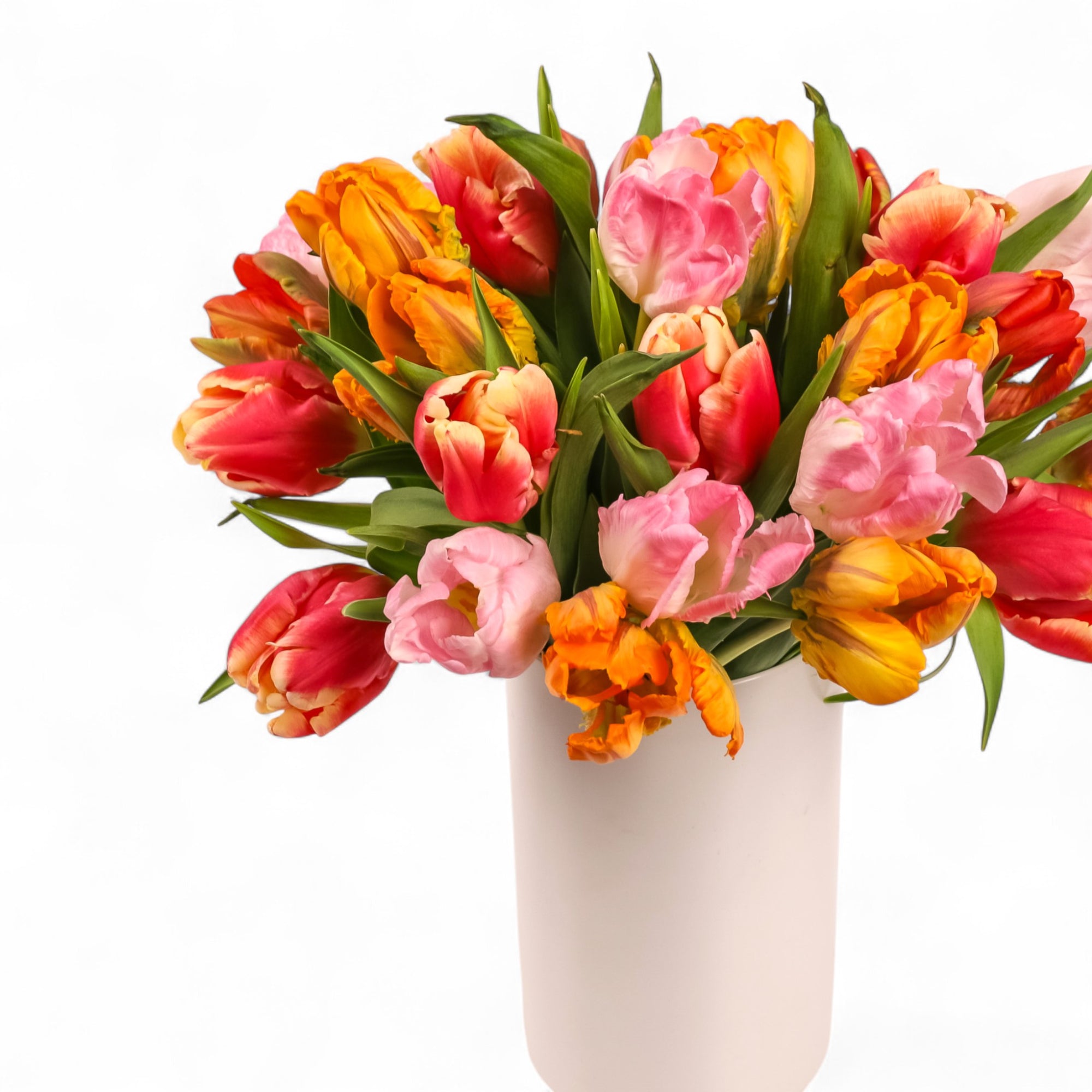 Tulip Celebration Floral from Green Fresh Florals + Plants