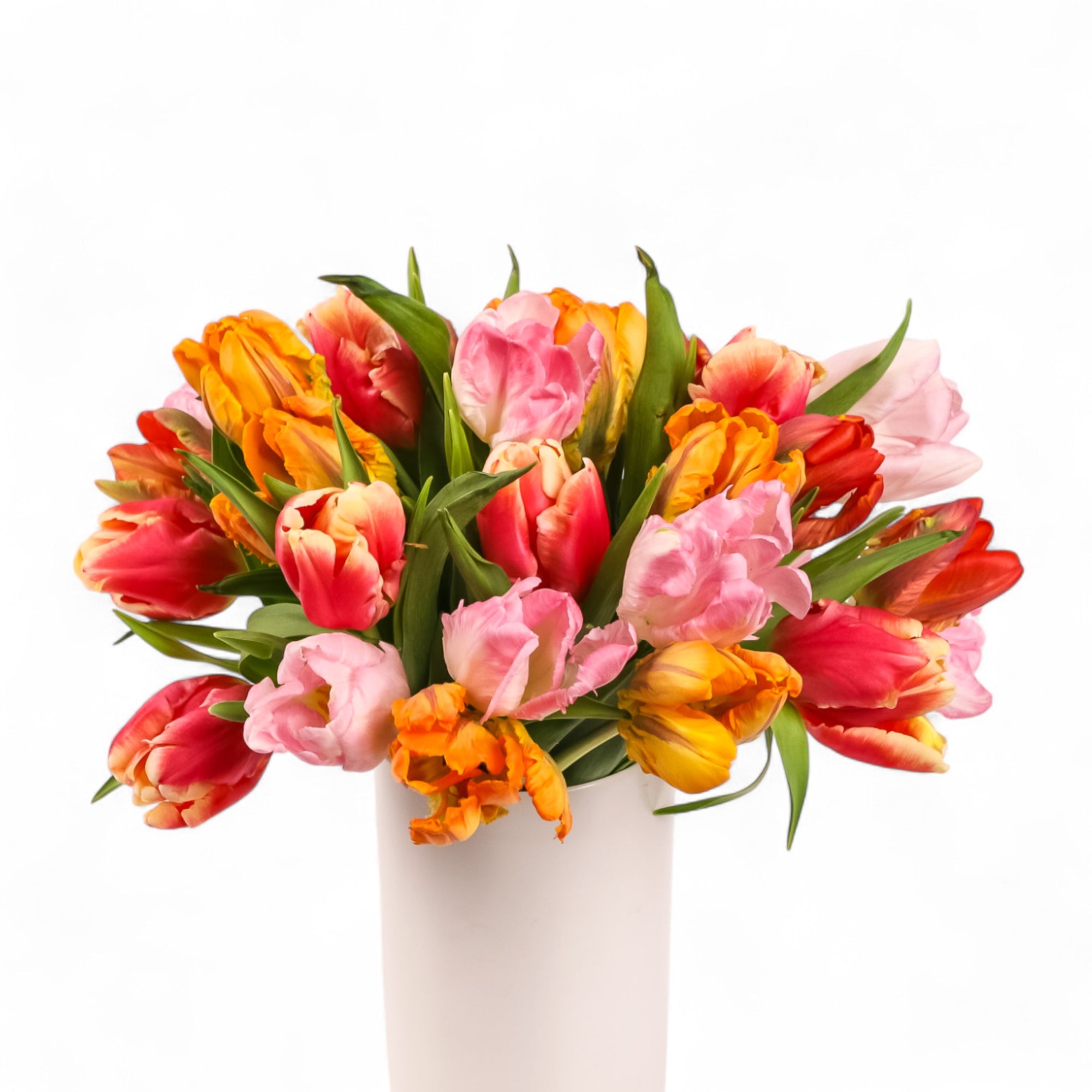 Tulip Celebration Floral from Green Fresh Florals + Plants