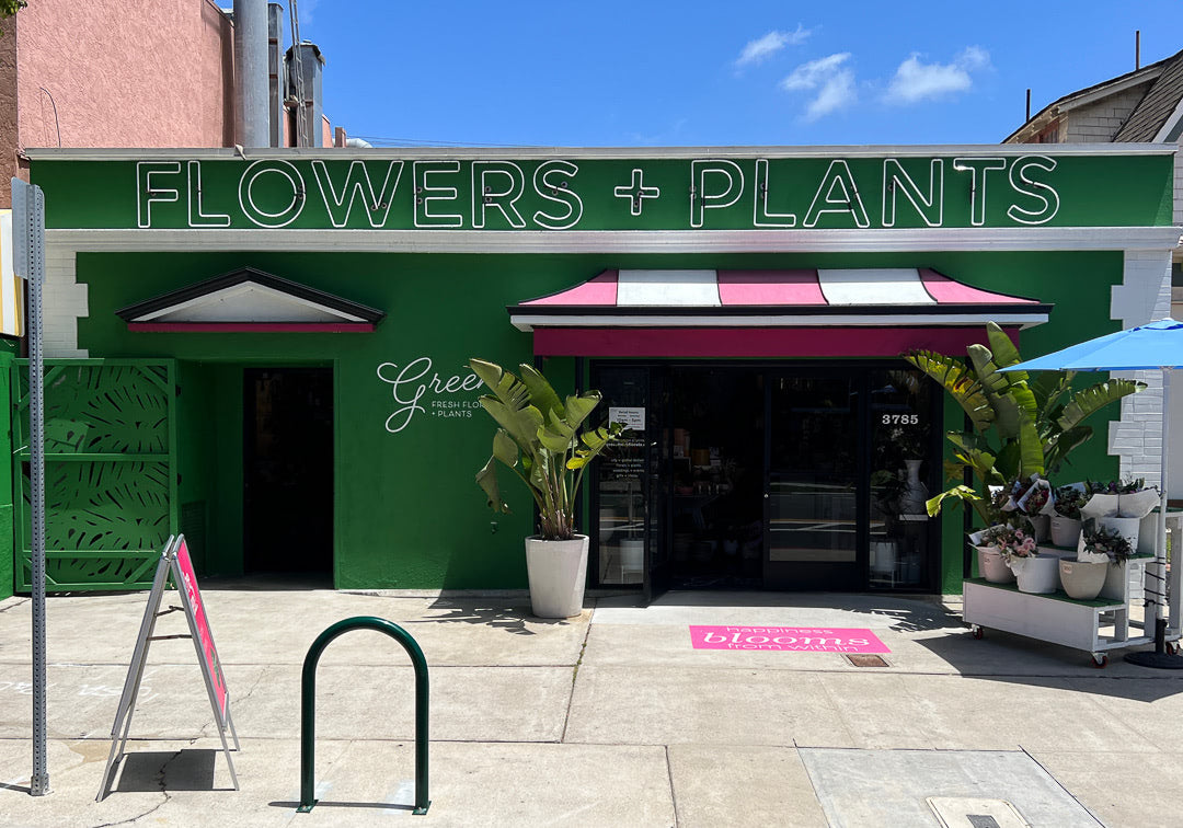 Exterior Image of Green Fresh Florals + Plants Store in Hillcrest with its distinctive green facade with hot pink awning.