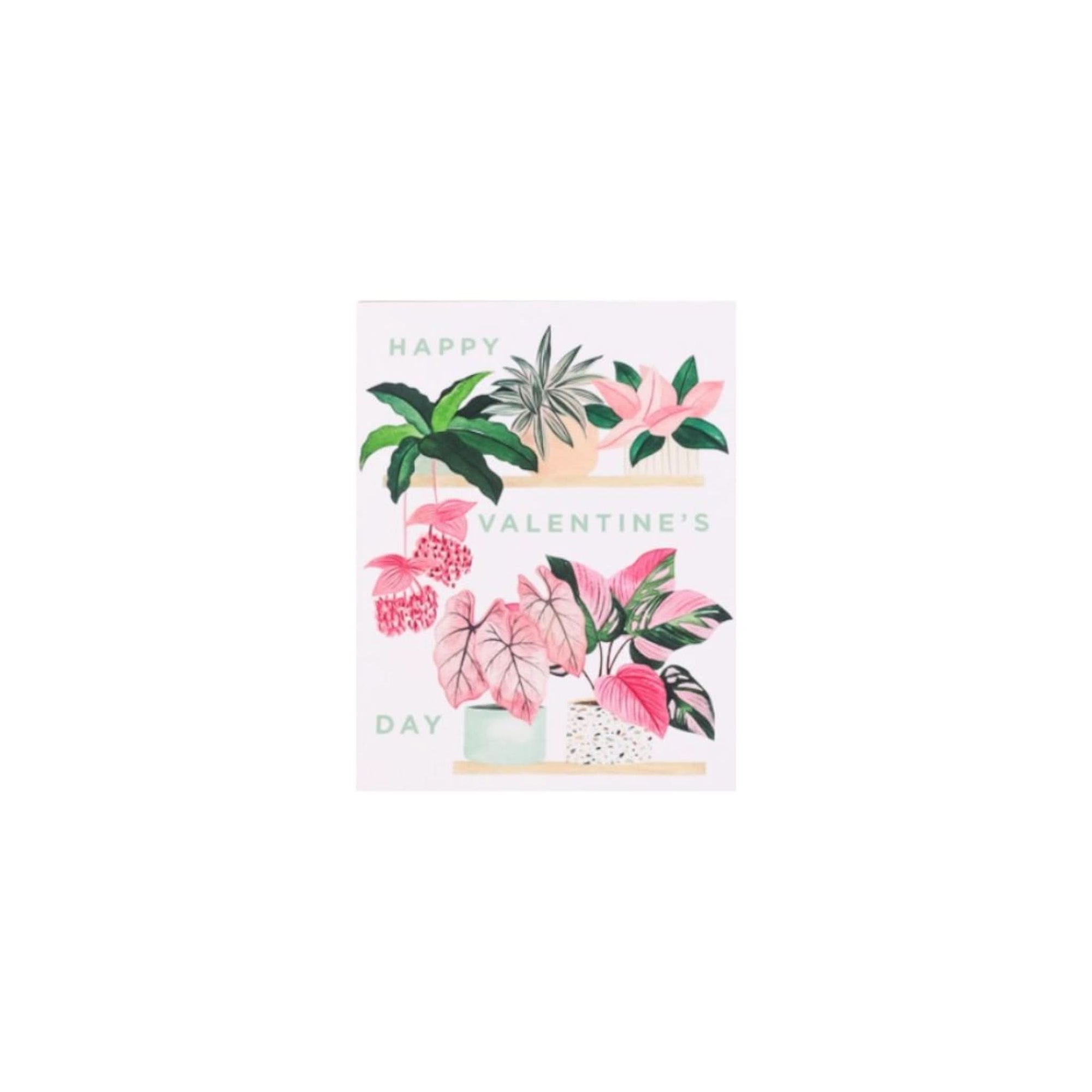 Valentine's Day Plant Shelf Card from Green Fresh Florals + Plants