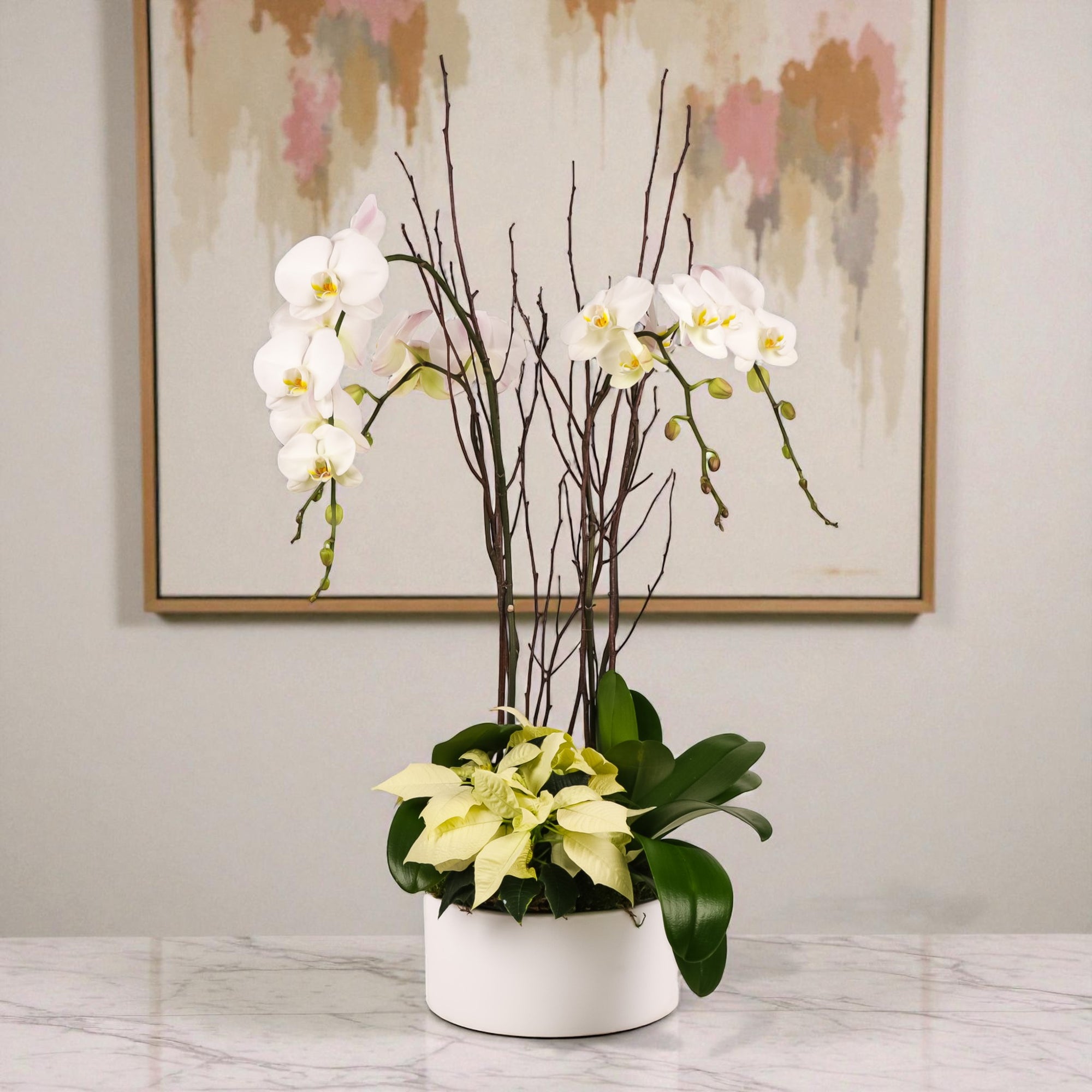 White Holiday Elegance Orchid Pairing from Green Fresh Florals + Plants