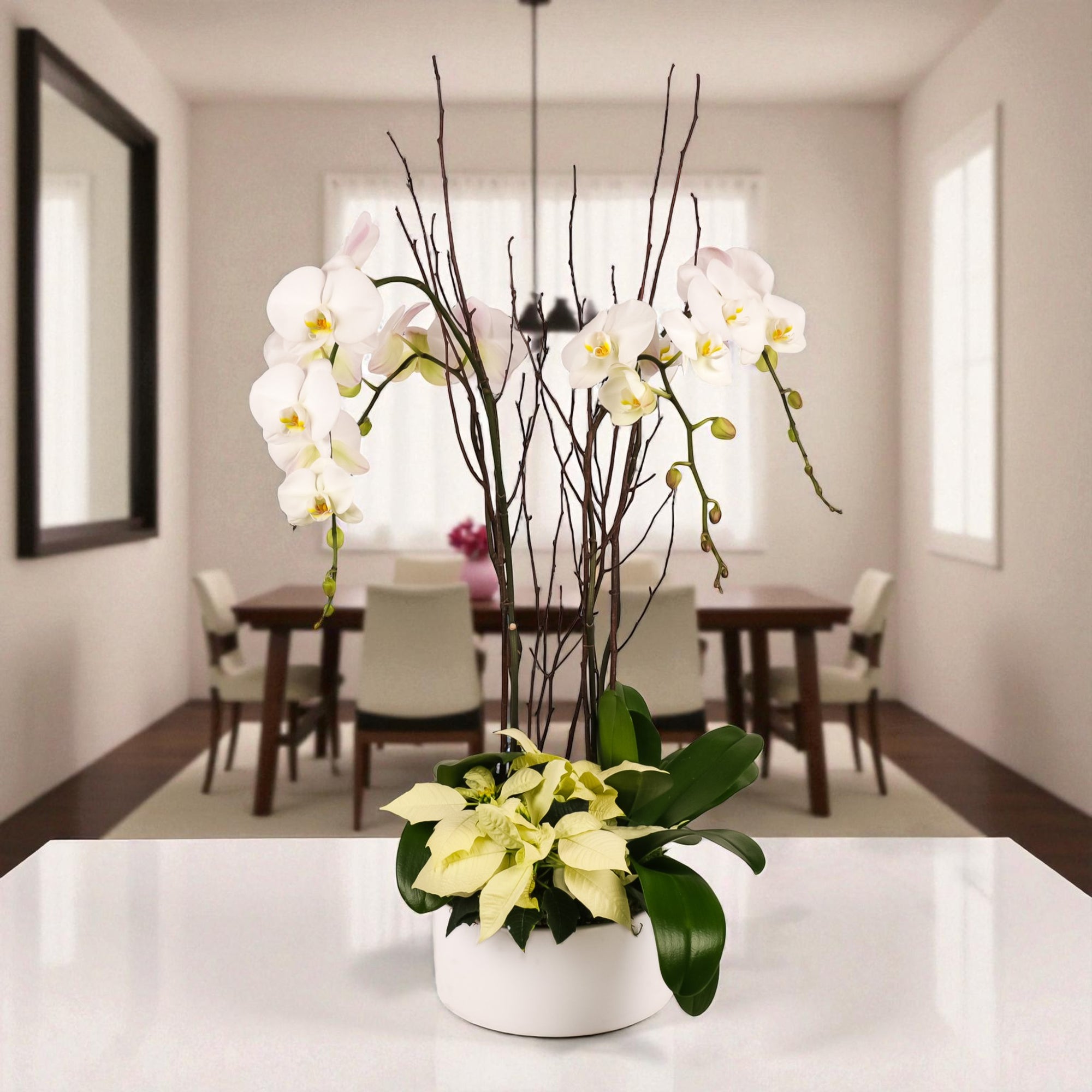 White Holiday Elegance Orchid Pairing from Green Fresh Florals + Plants